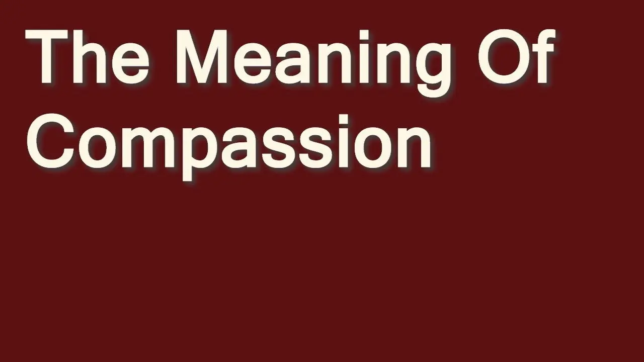 The Meaning of Compassion backdrop