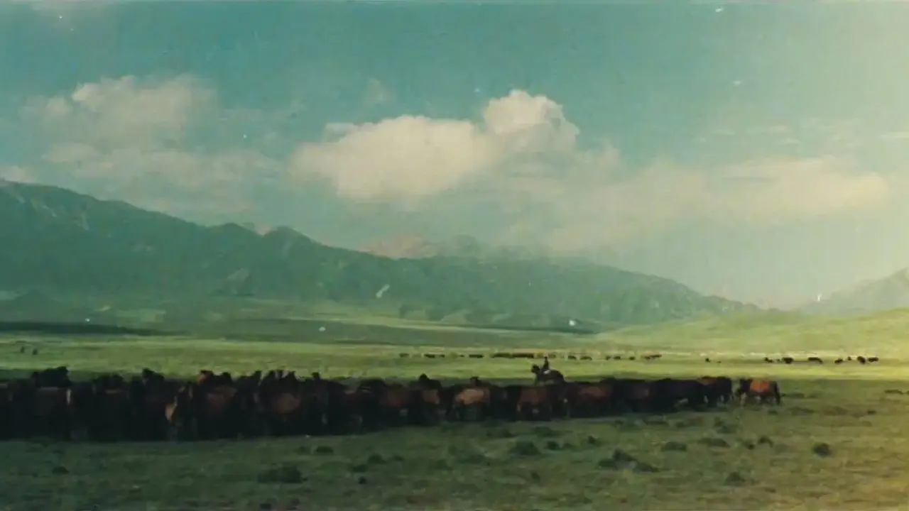 The Herdsman backdrop
