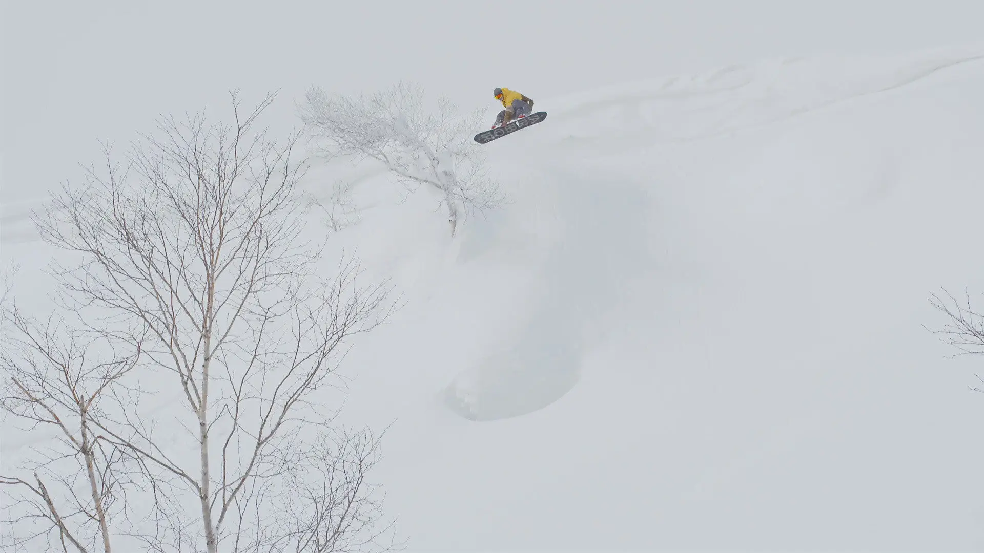 Naturestyle: Hokkaido Japan backdrop