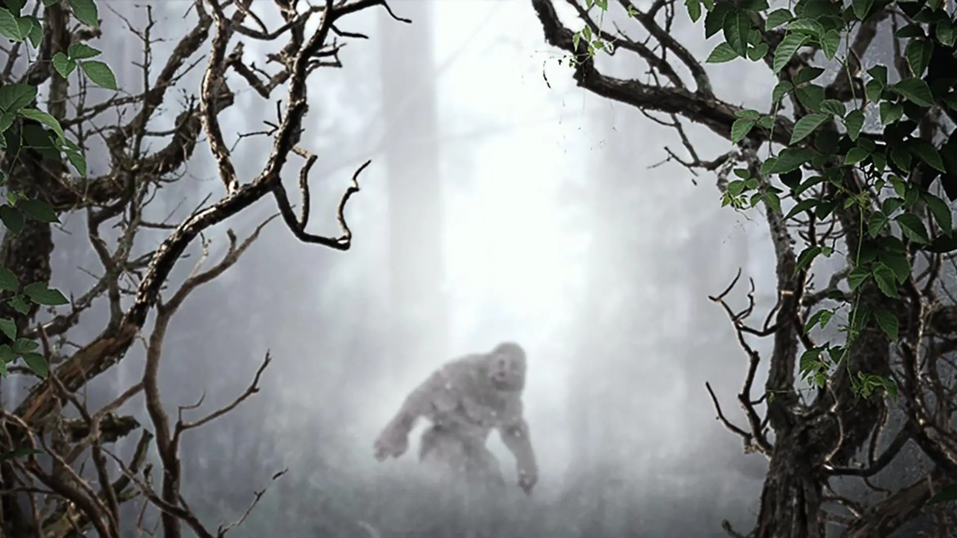 MonsterQuest backdrop