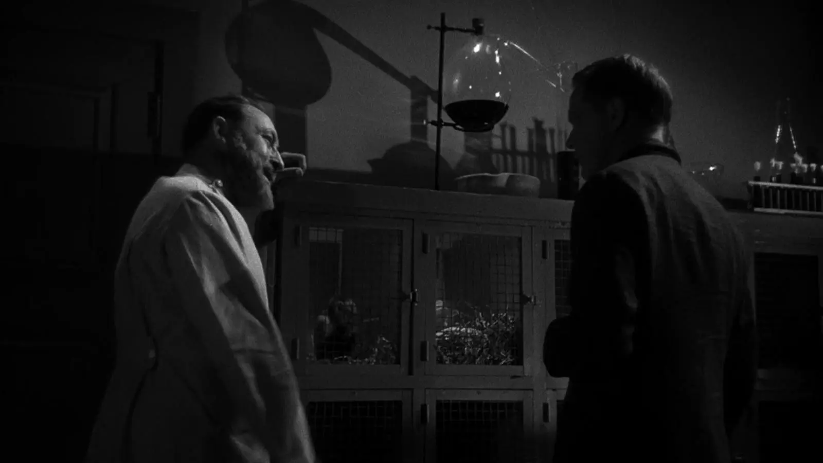 The Mad Doctor of Market Street backdrop