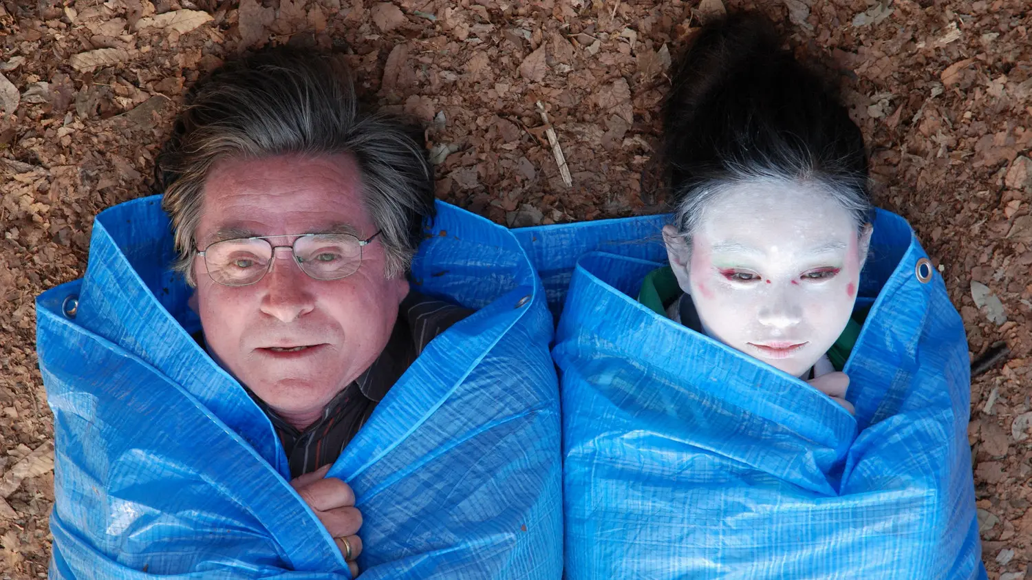 Cherry Blossoms backdrop