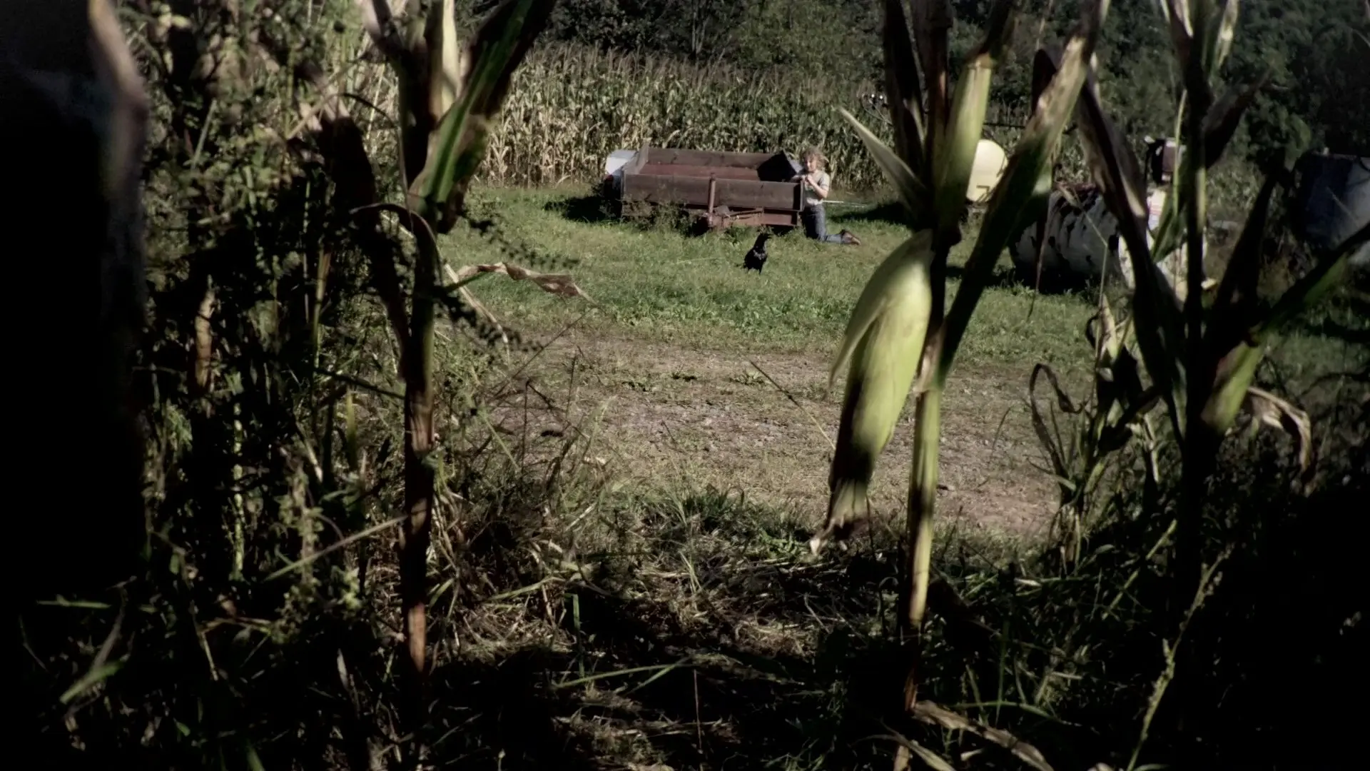 The Fields backdrop