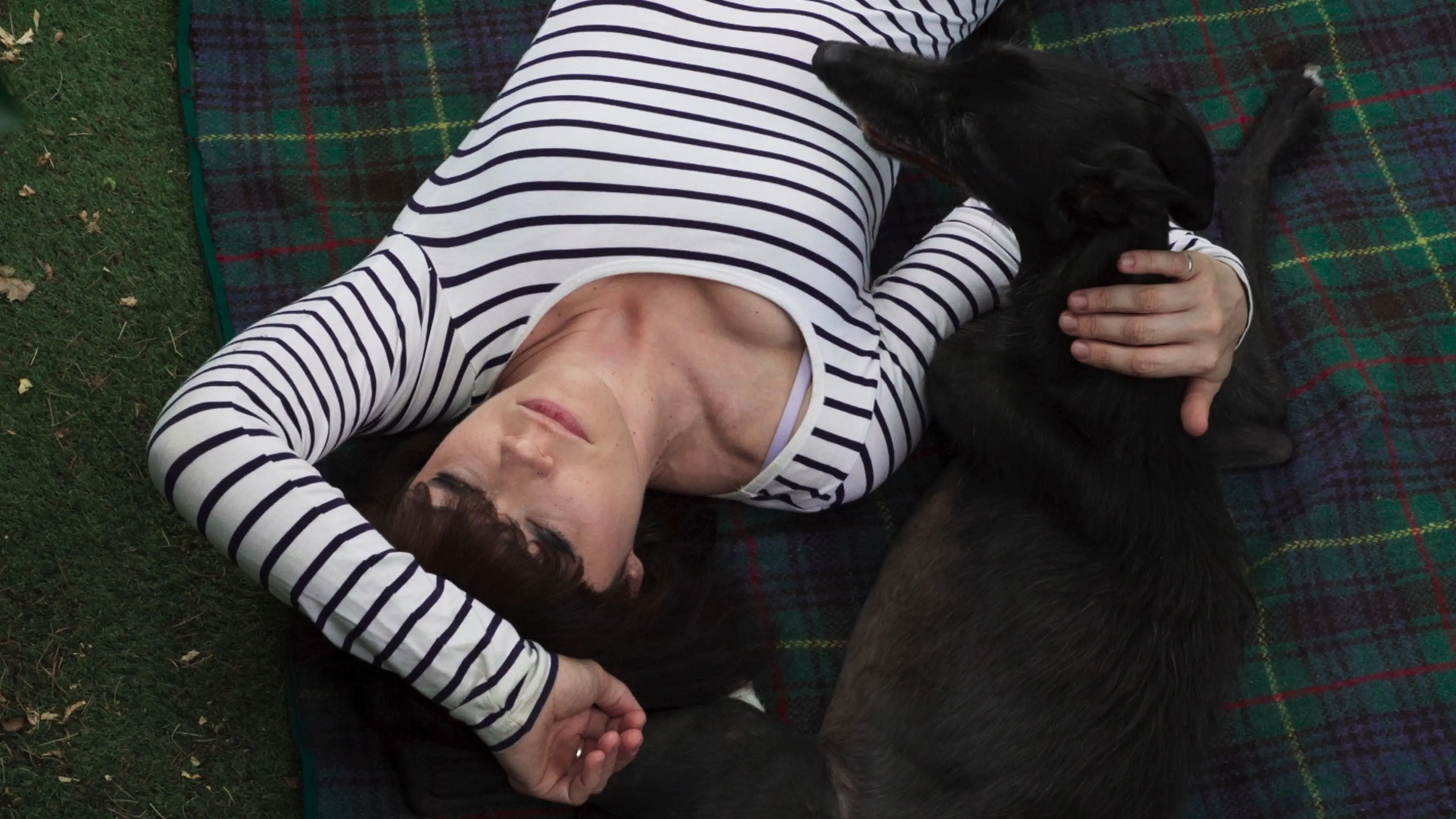 Year of the Dog backdrop