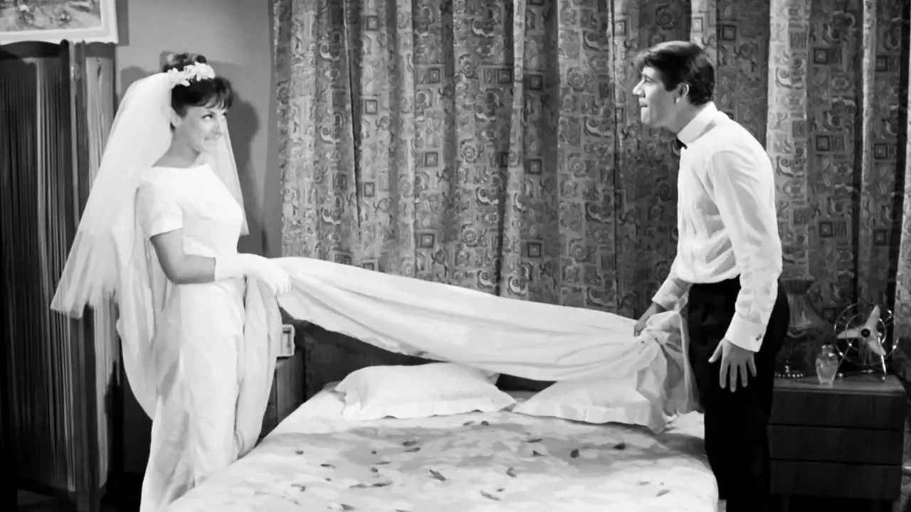 I stole my wife backdrop