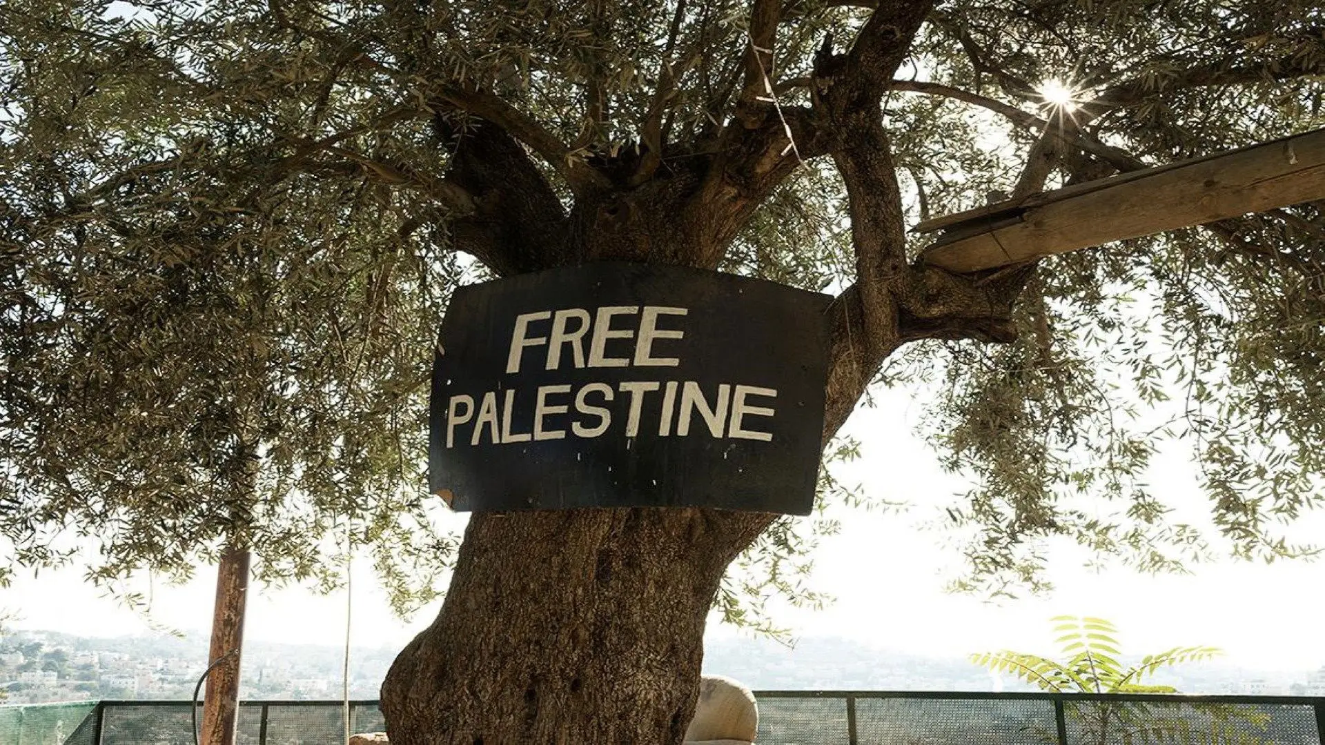 Roots of Resistance backdrop