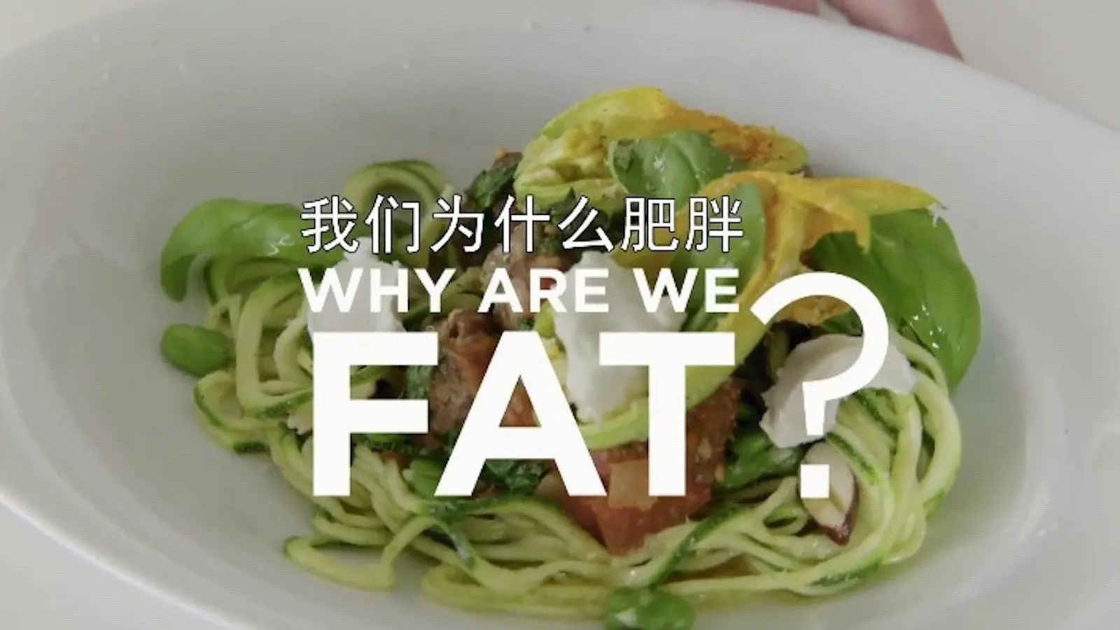 Why Are We Getting So Fat? backdrop