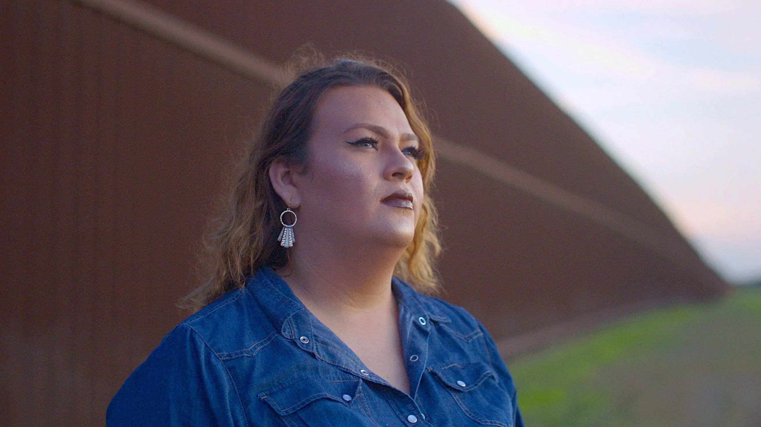 Trans in Trumpland backdrop