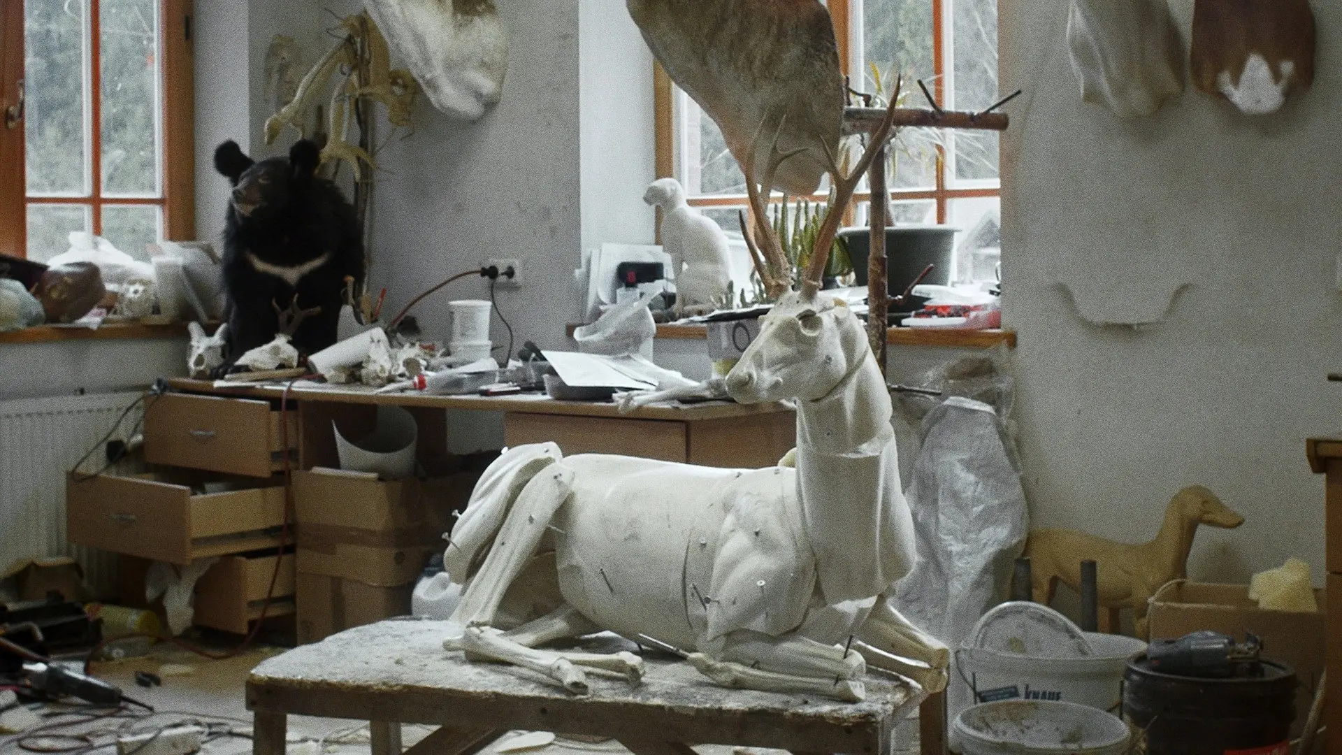Animus Animalis (A Story about People, Animals and Things) backdrop