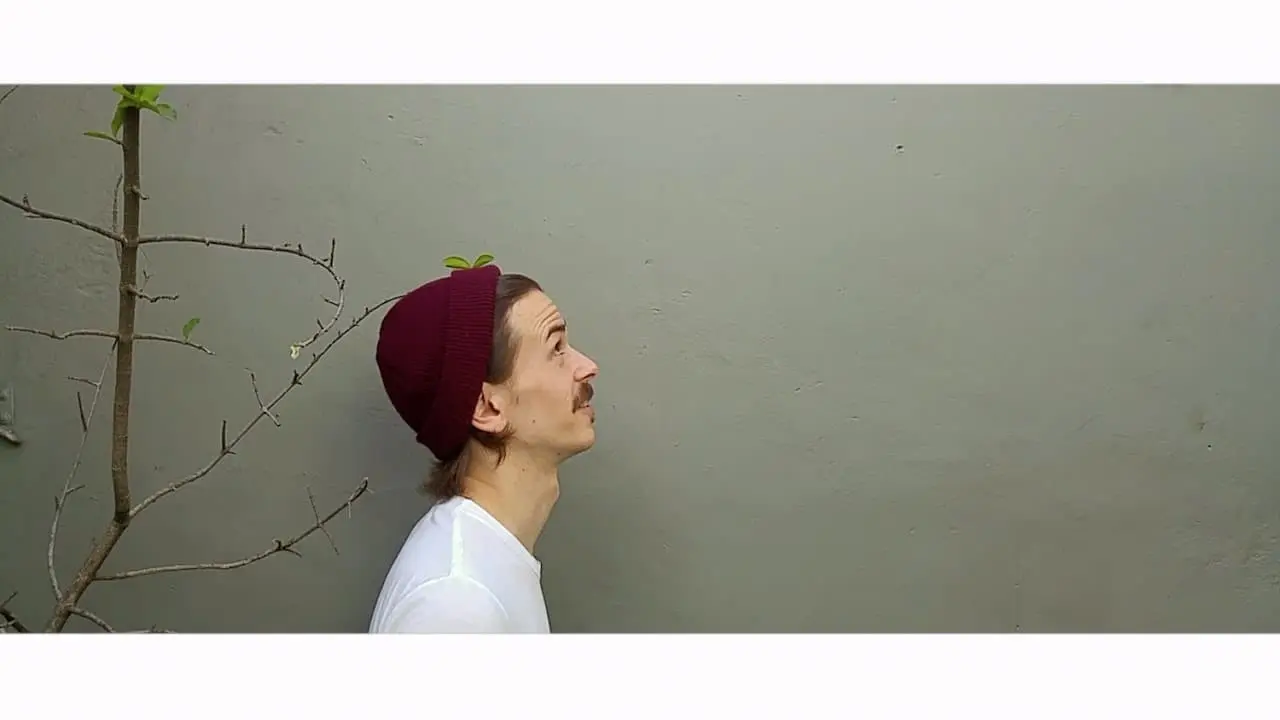 True Minimalist Travel backdrop