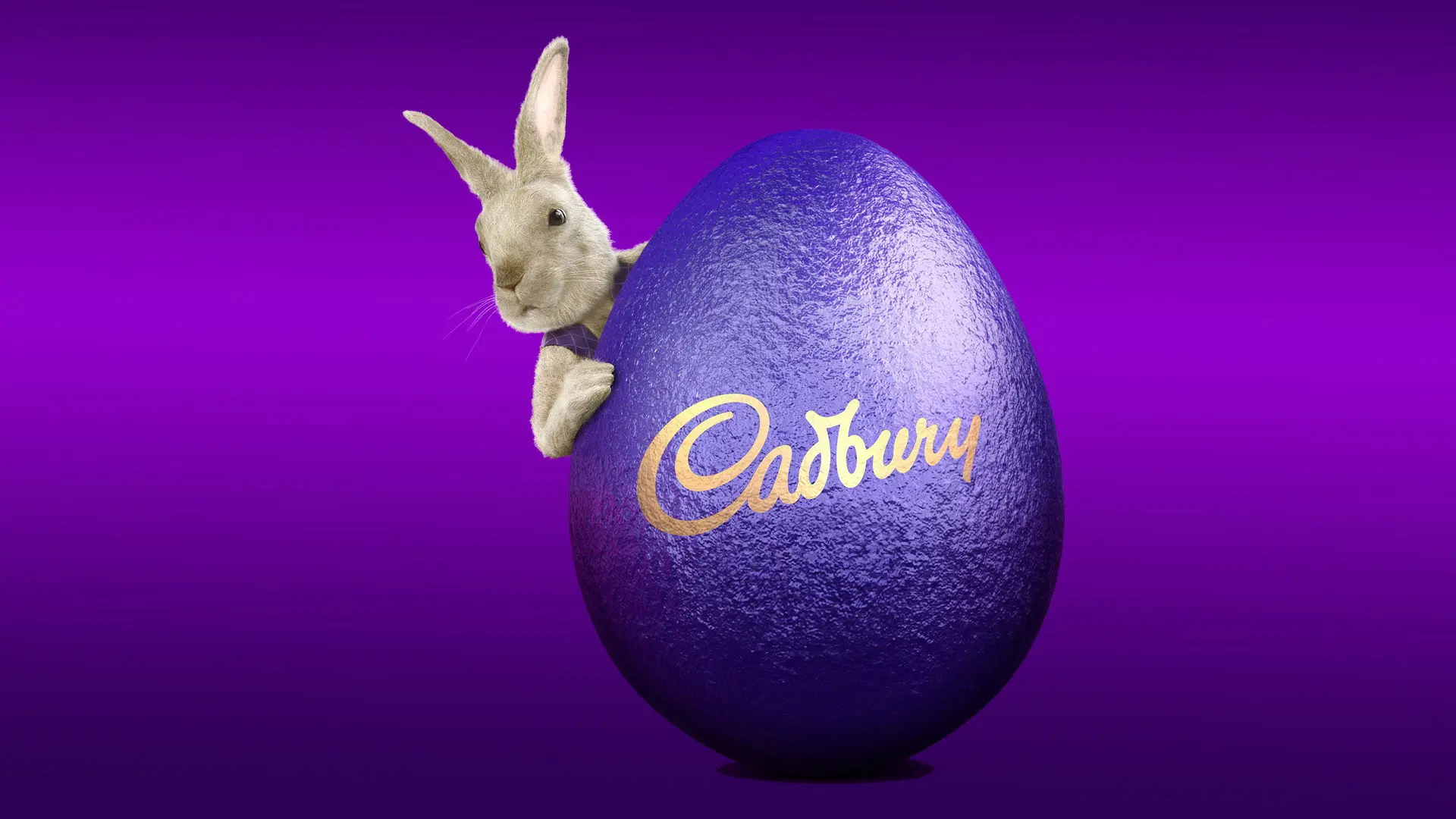 The Chocolate Factory: Inside Cadbury Australia backdrop