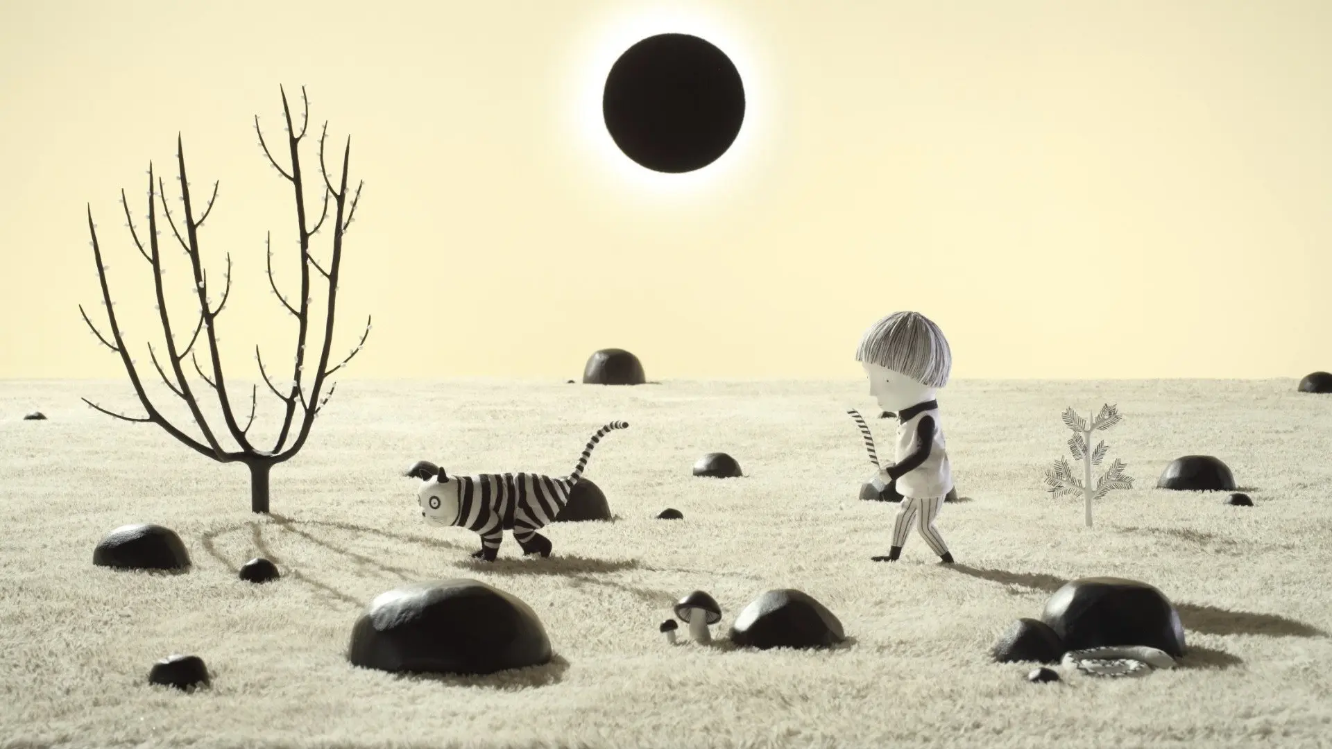 A Serious Thought backdrop