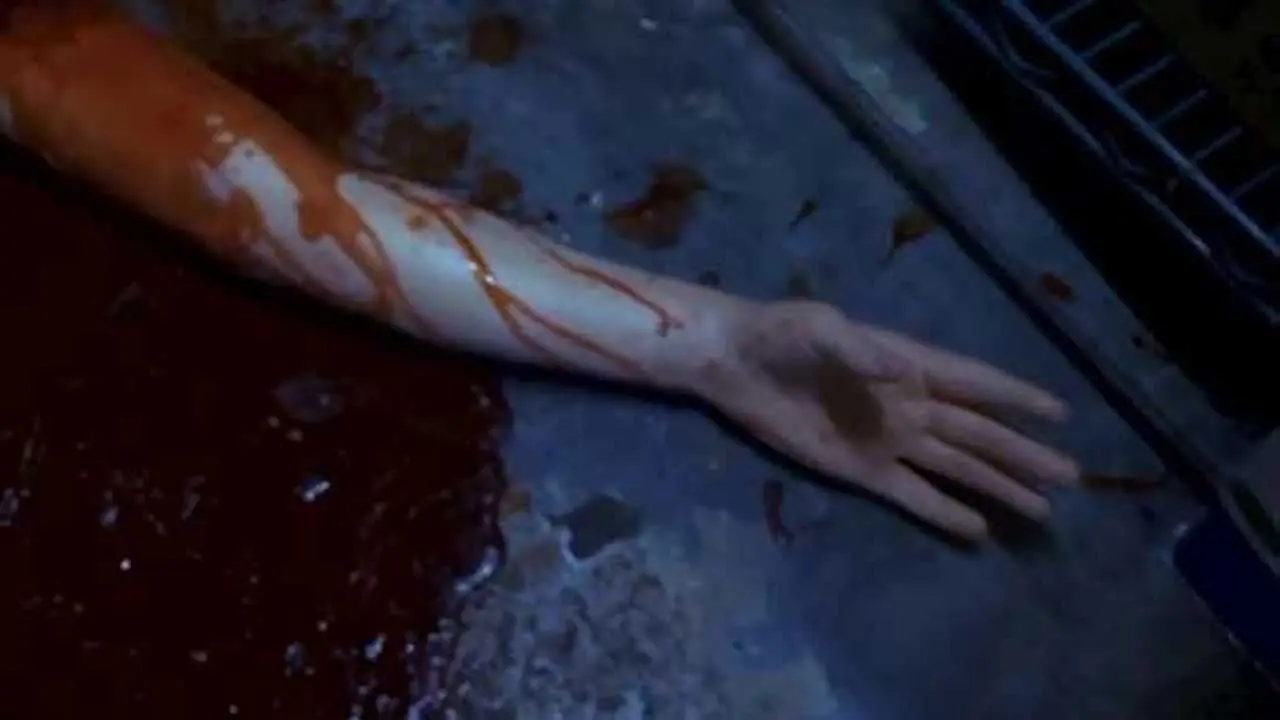 Human Hibachi backdrop