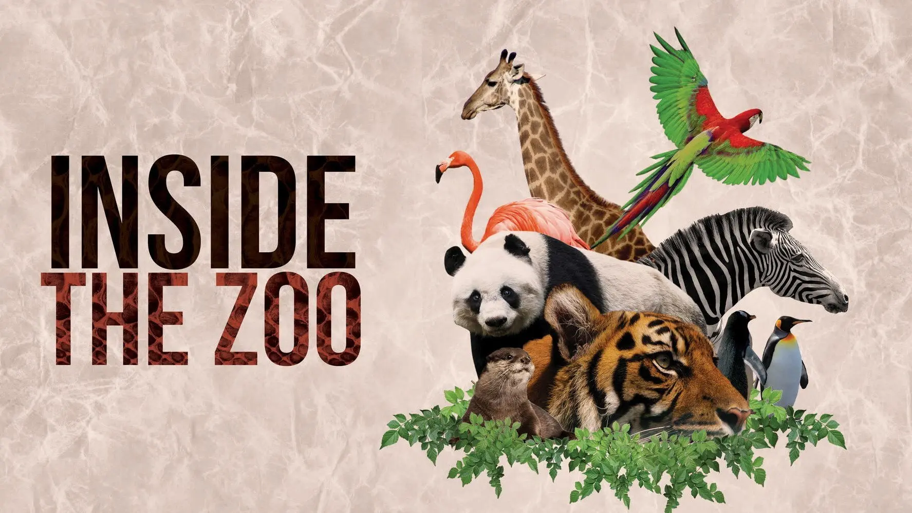 Inside The Zoo backdrop