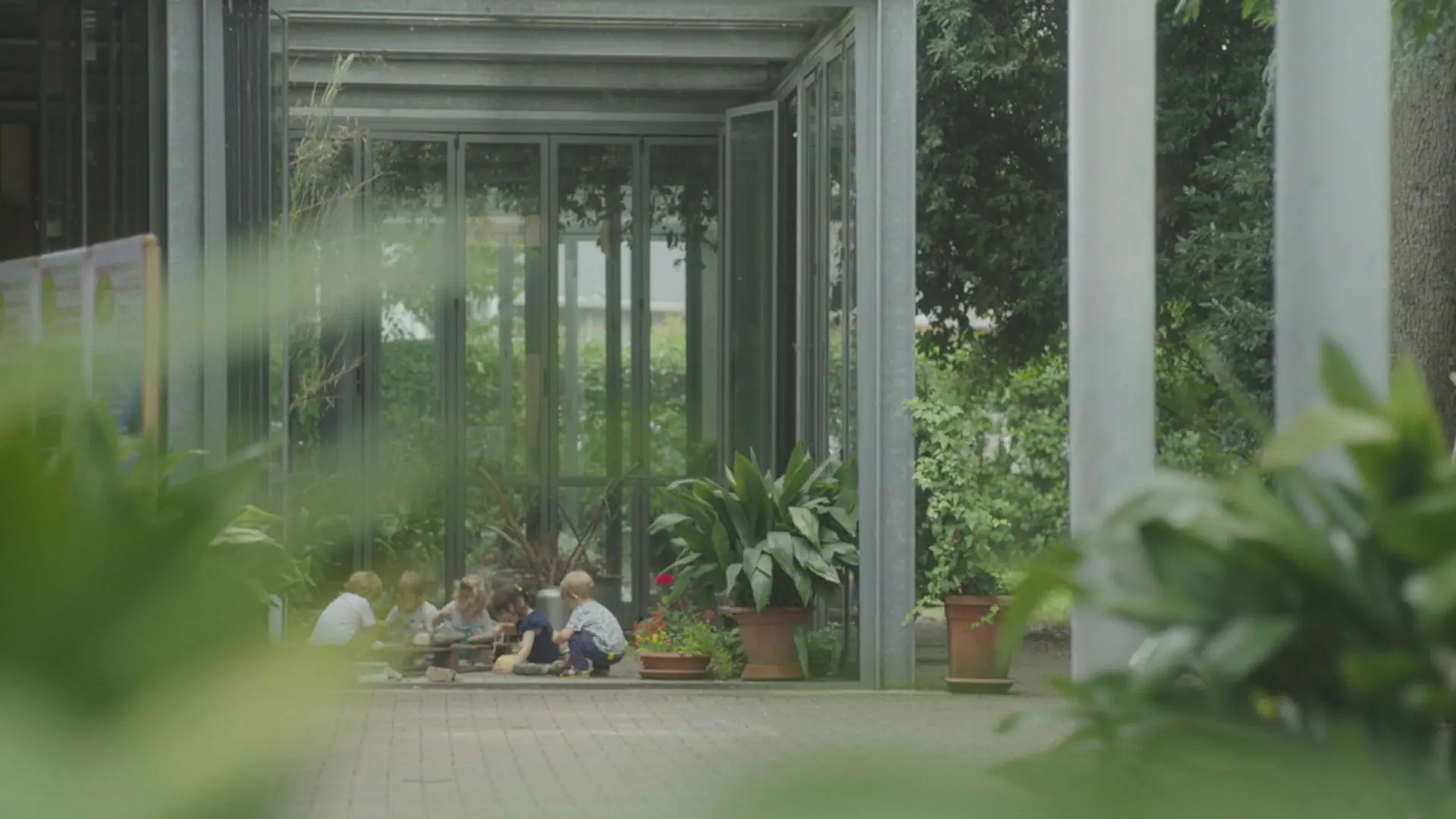 Nurseries, raids on babies backdrop