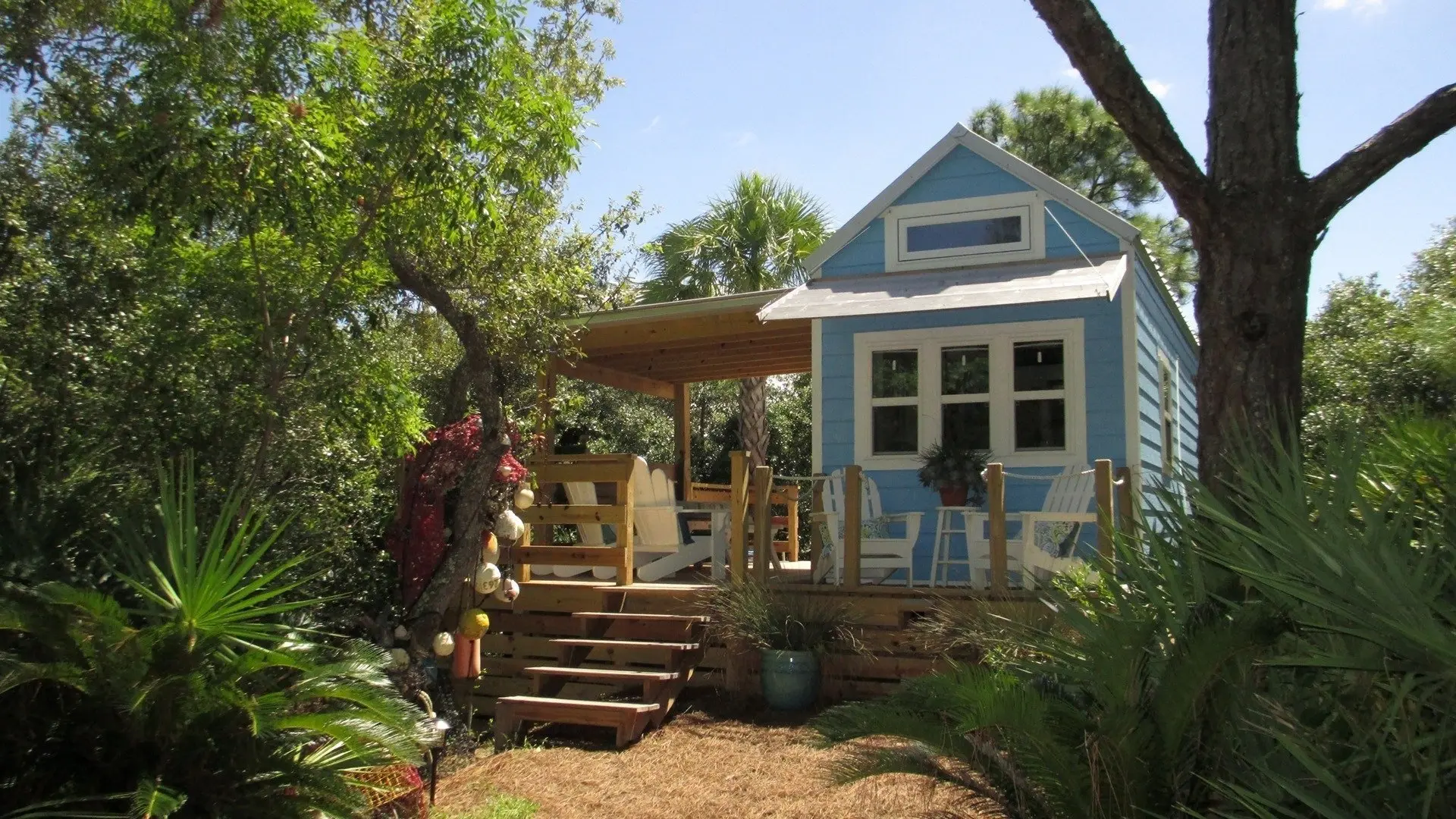 Tiny House Hunting backdrop