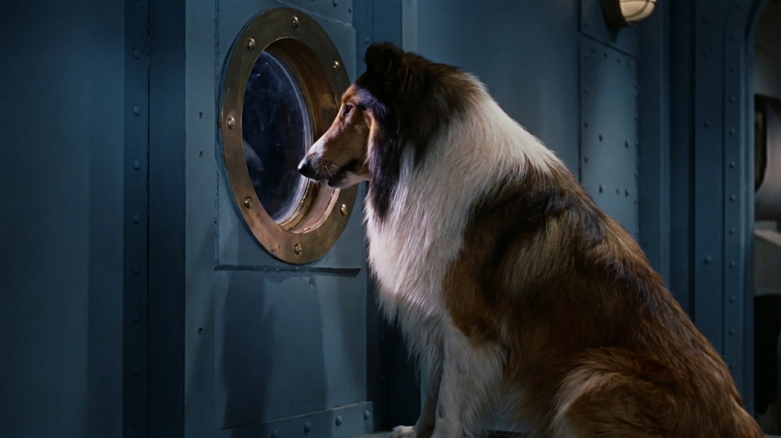 Lassie, the Voyager backdrop