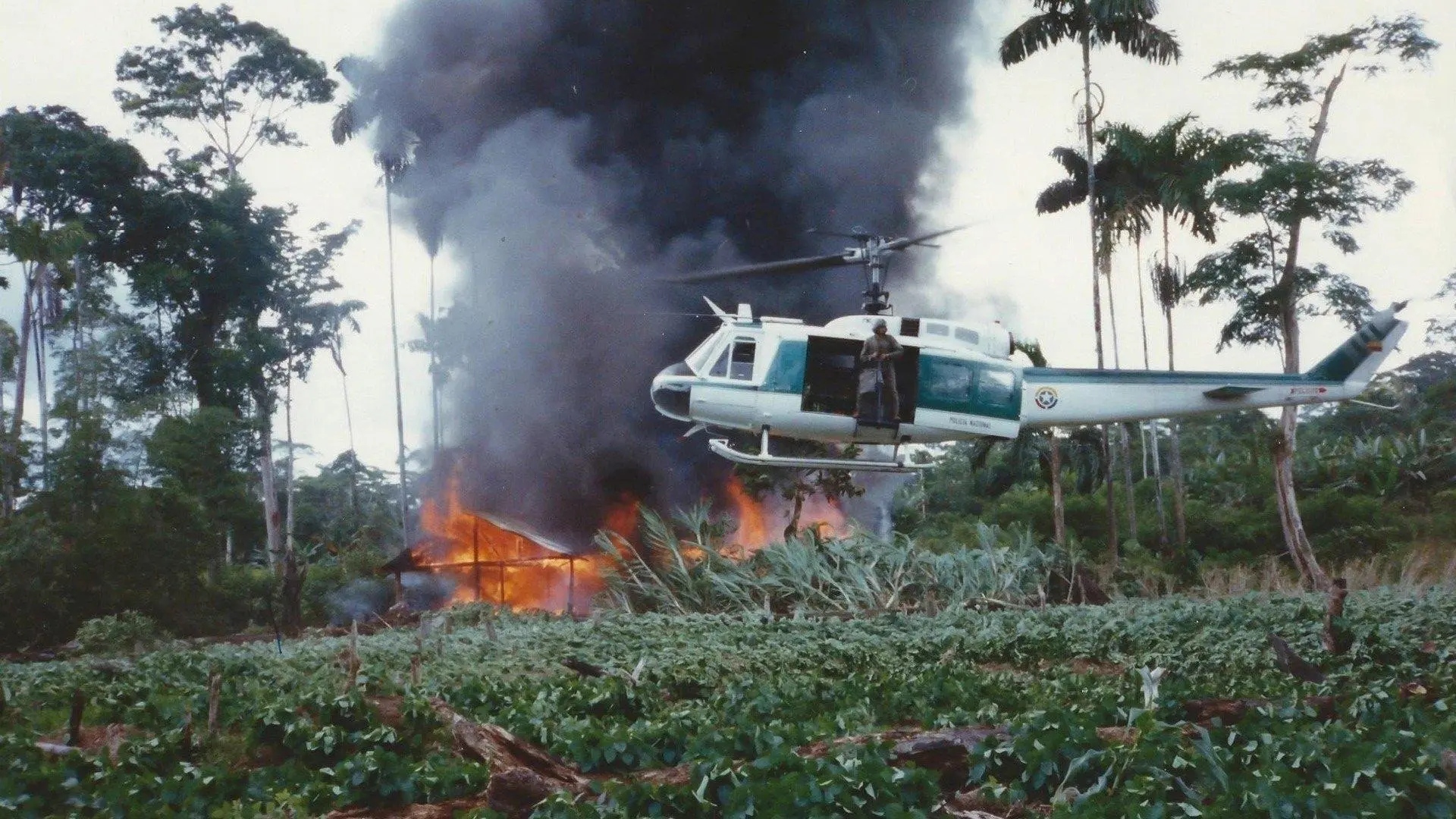 Narco Wars: In Their Own Words backdrop