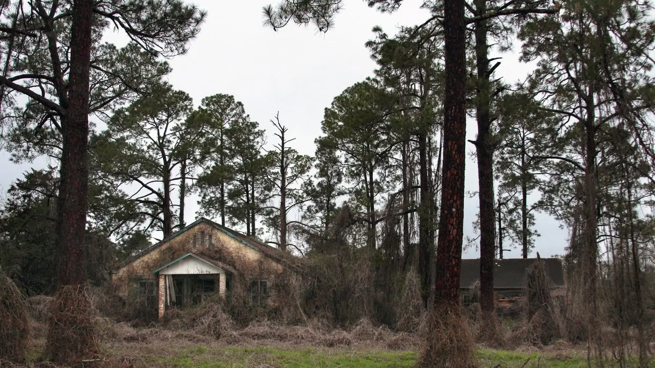 Deadly Secrets: The Lost Children of Dozier backdrop