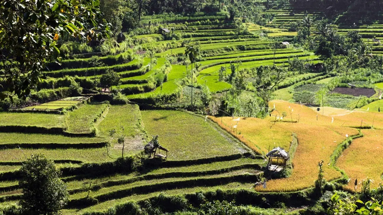 Tropenparadies Bali - Eine Perle Indonesiens backdrop