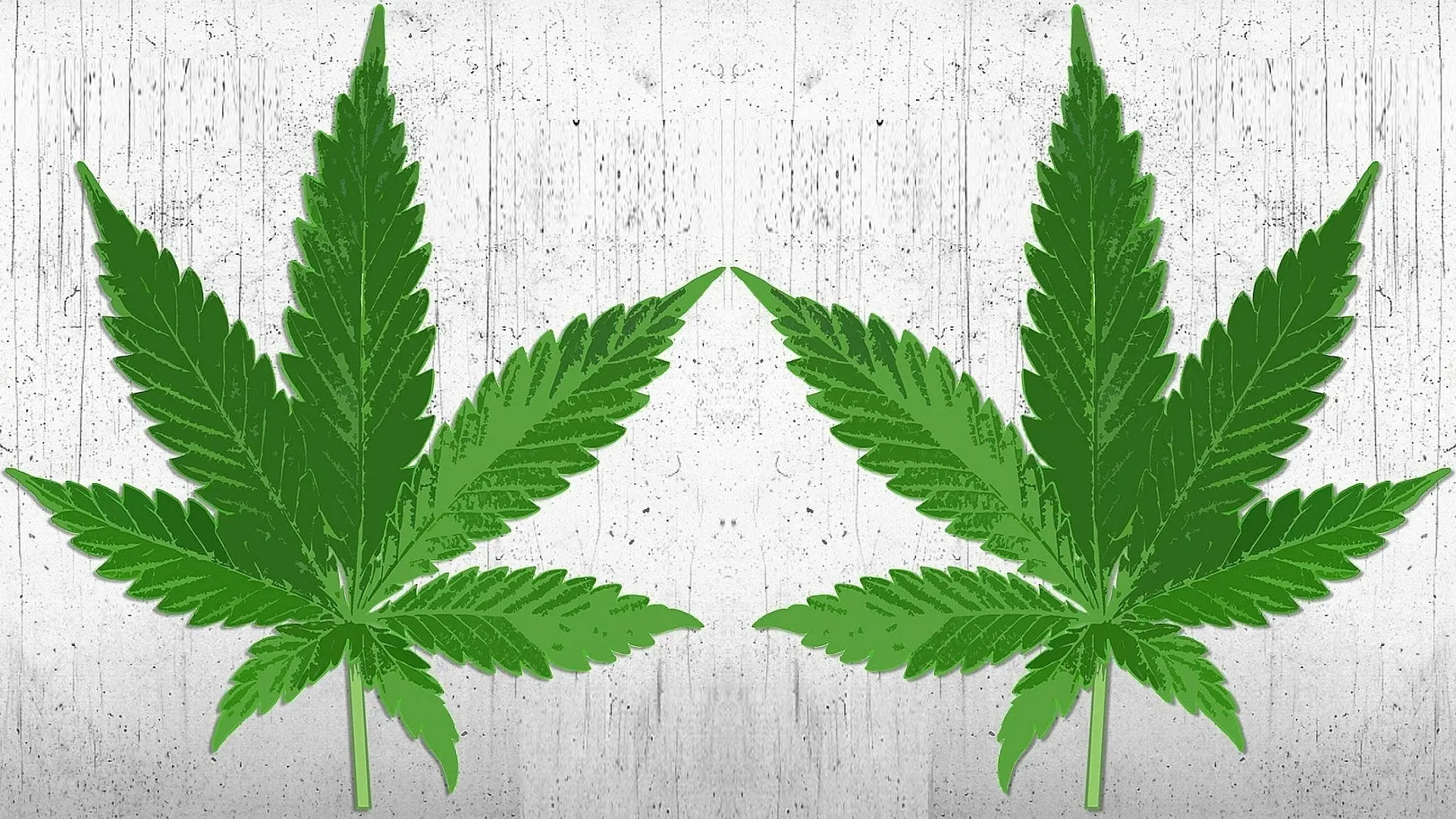 High There backdrop