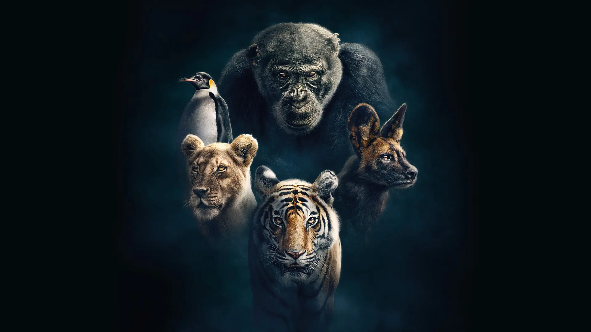 Dynasties backdrop
