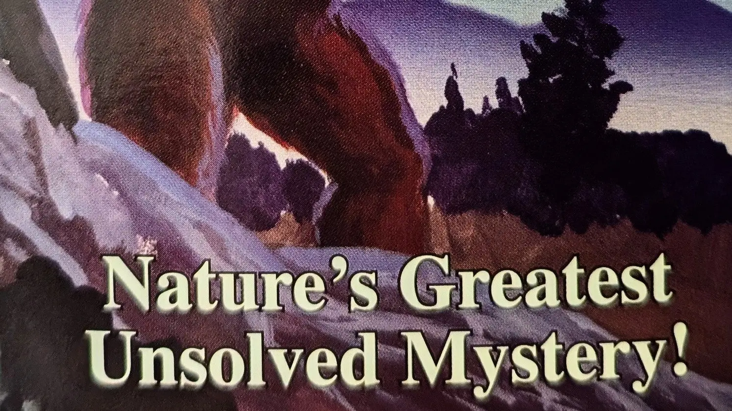 The Hunt for Bigfoot backdrop