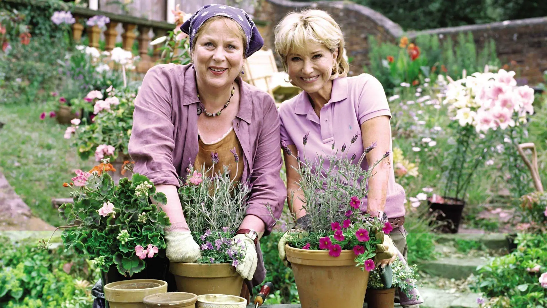 Rosemary & Thyme backdrop