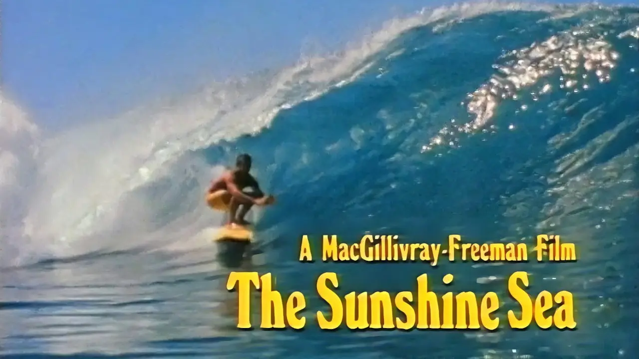 The Sunshine Sea backdrop