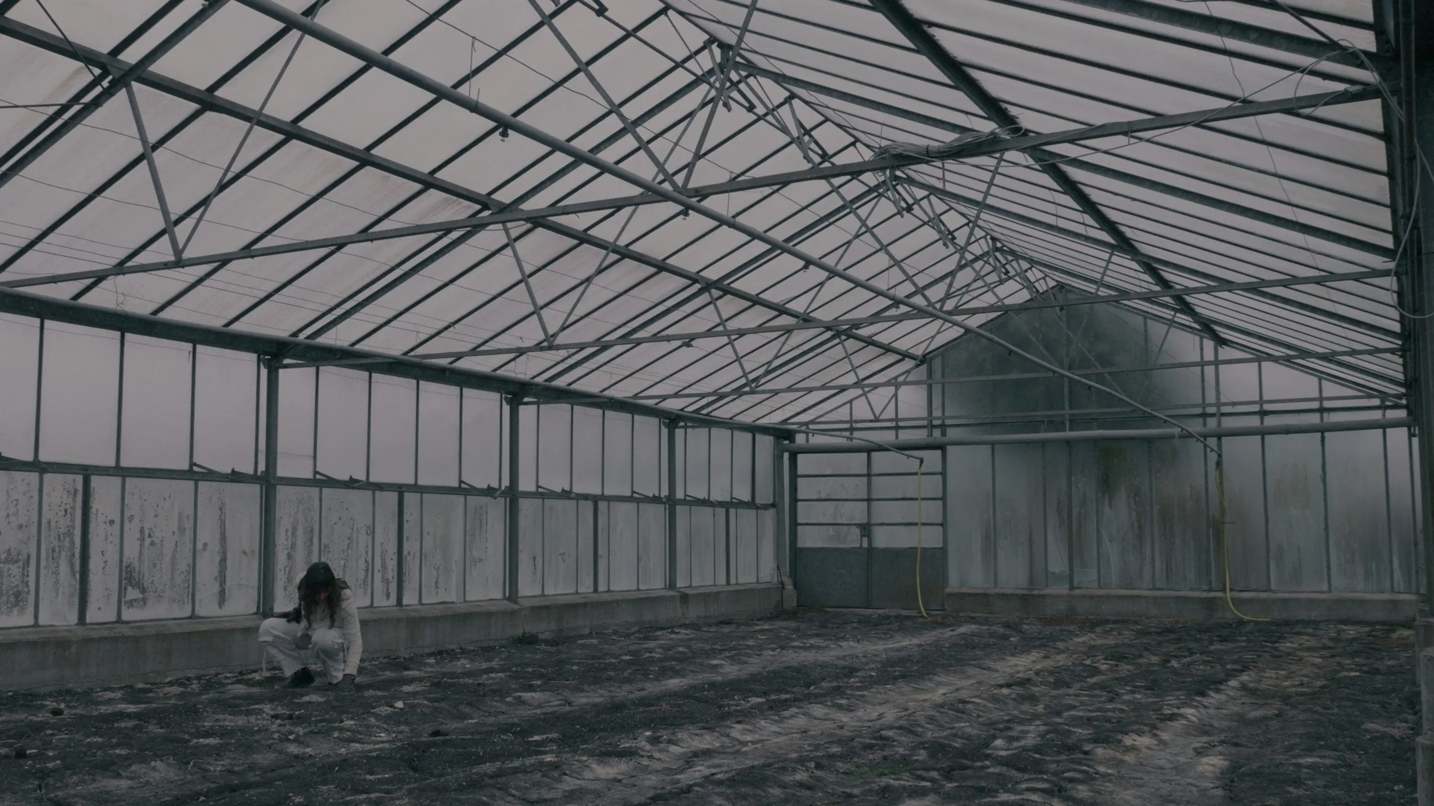 BLOOM - A Dystopian Short Film backdrop