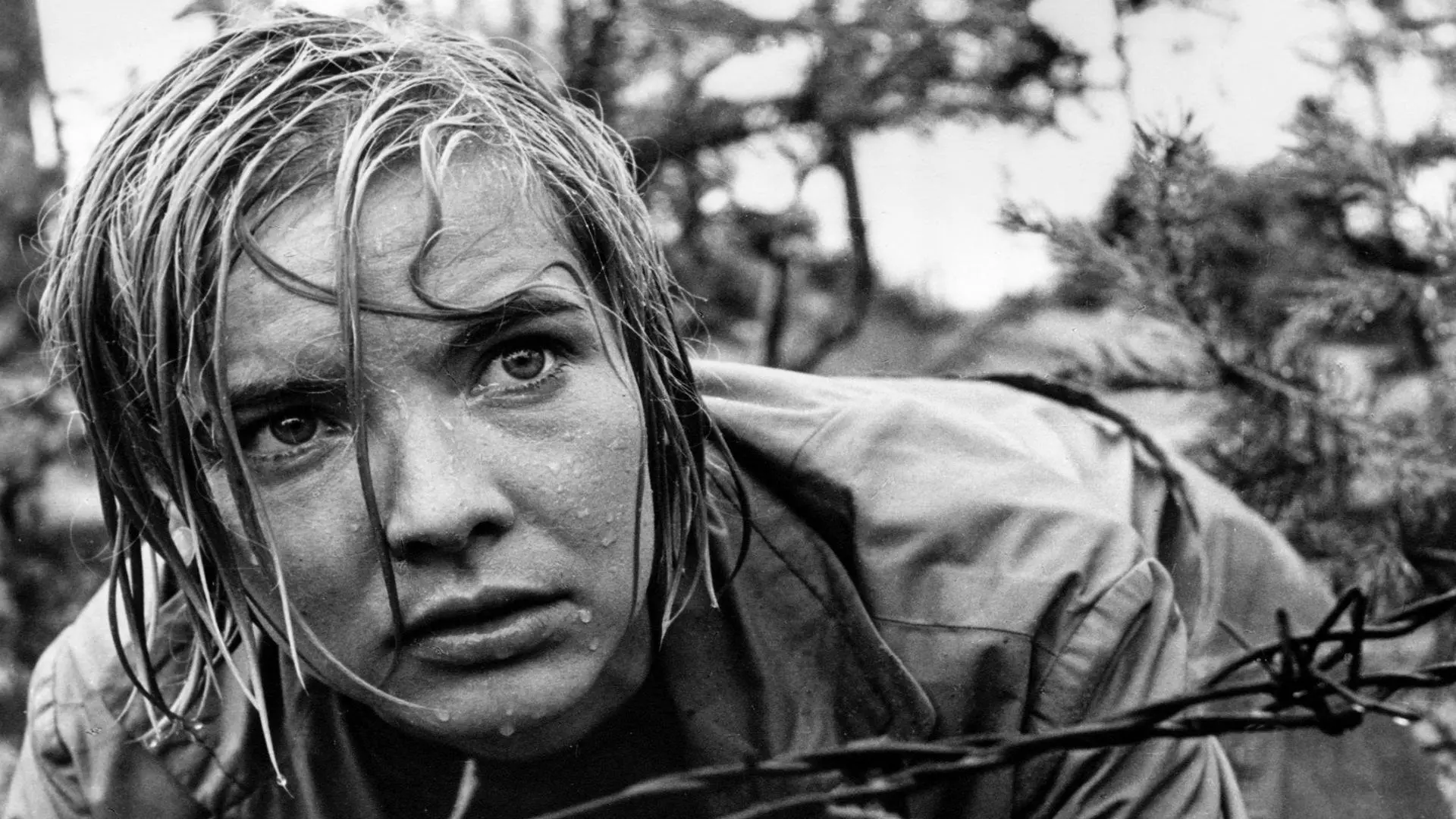 Star-Crossed Lovers backdrop