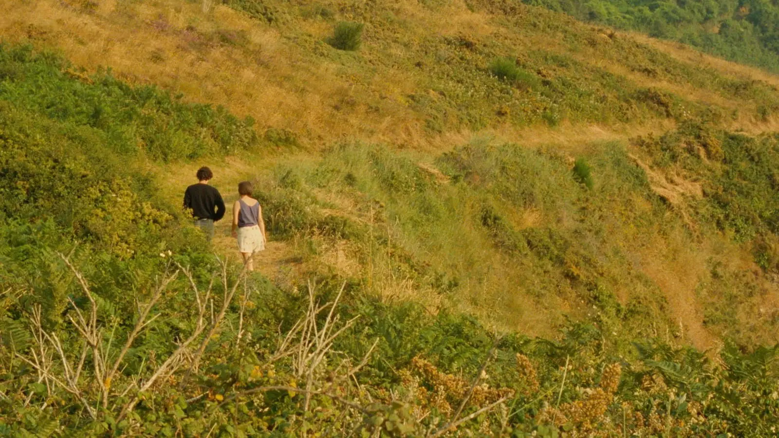 A Summer's Tale backdrop