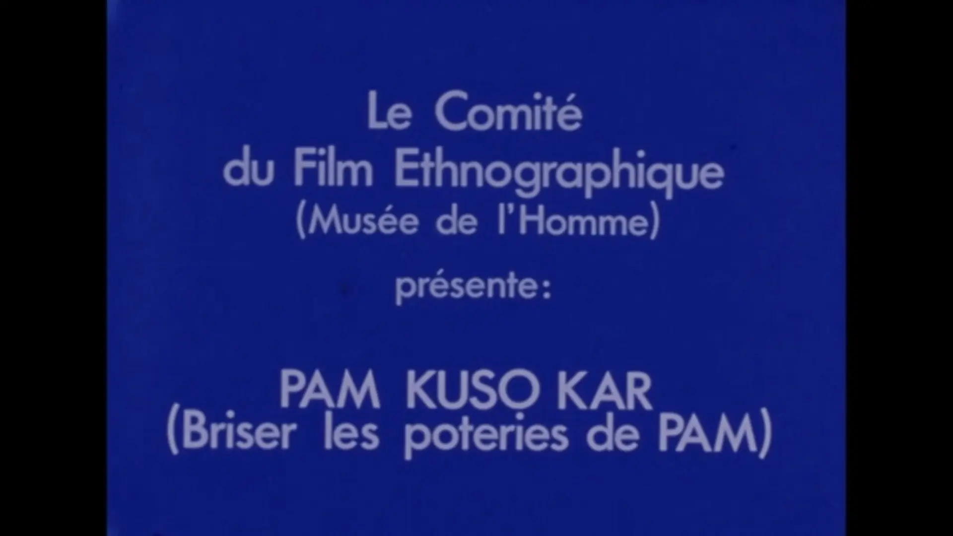 Pam Kuso Kar (Breaking Pam's Vases) backdrop