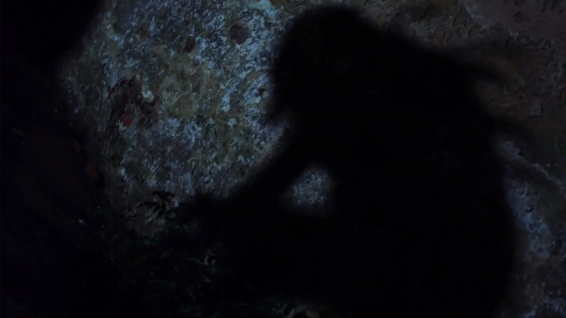 A Dark Path backdrop