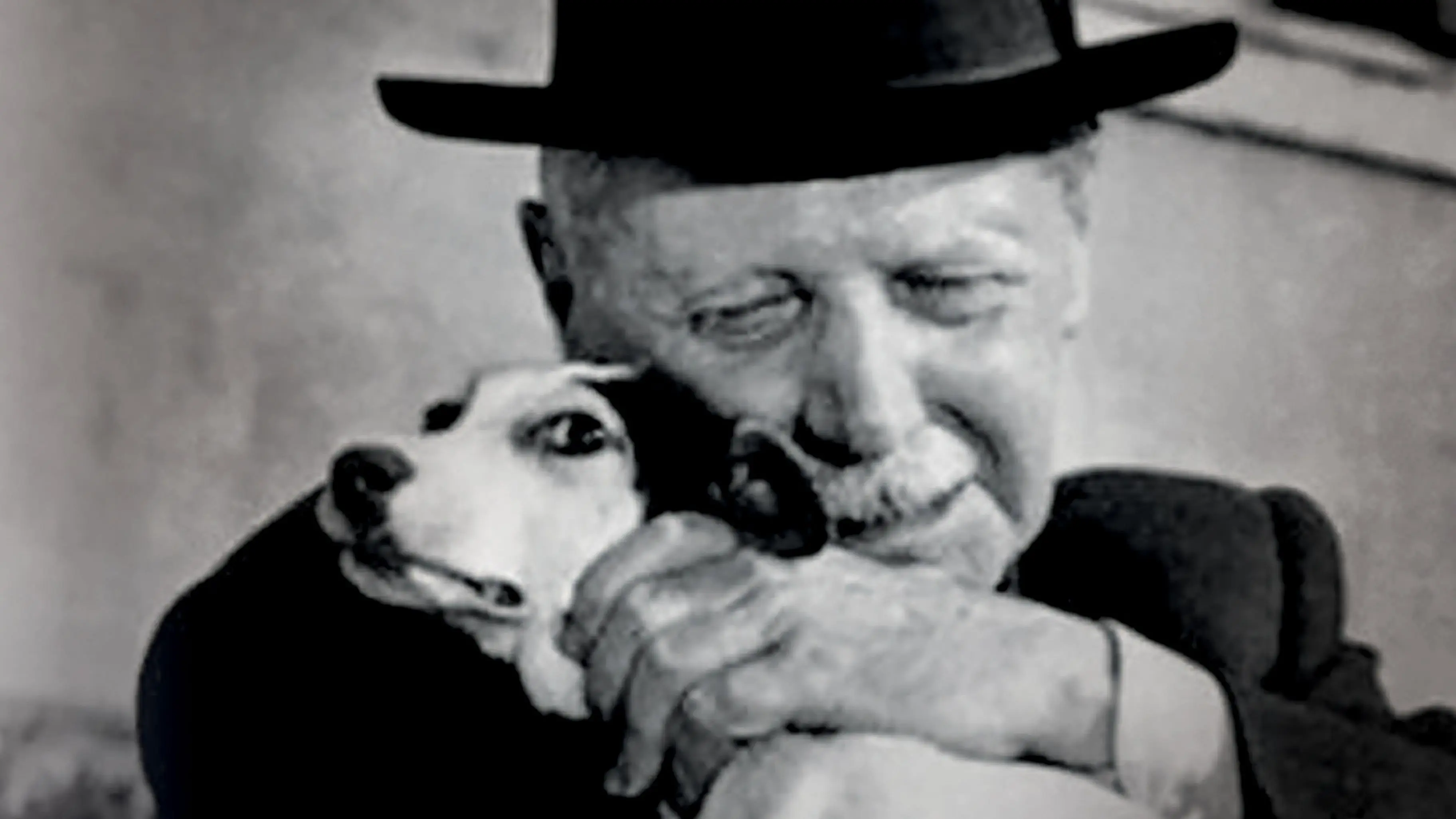 Umberto D. backdrop