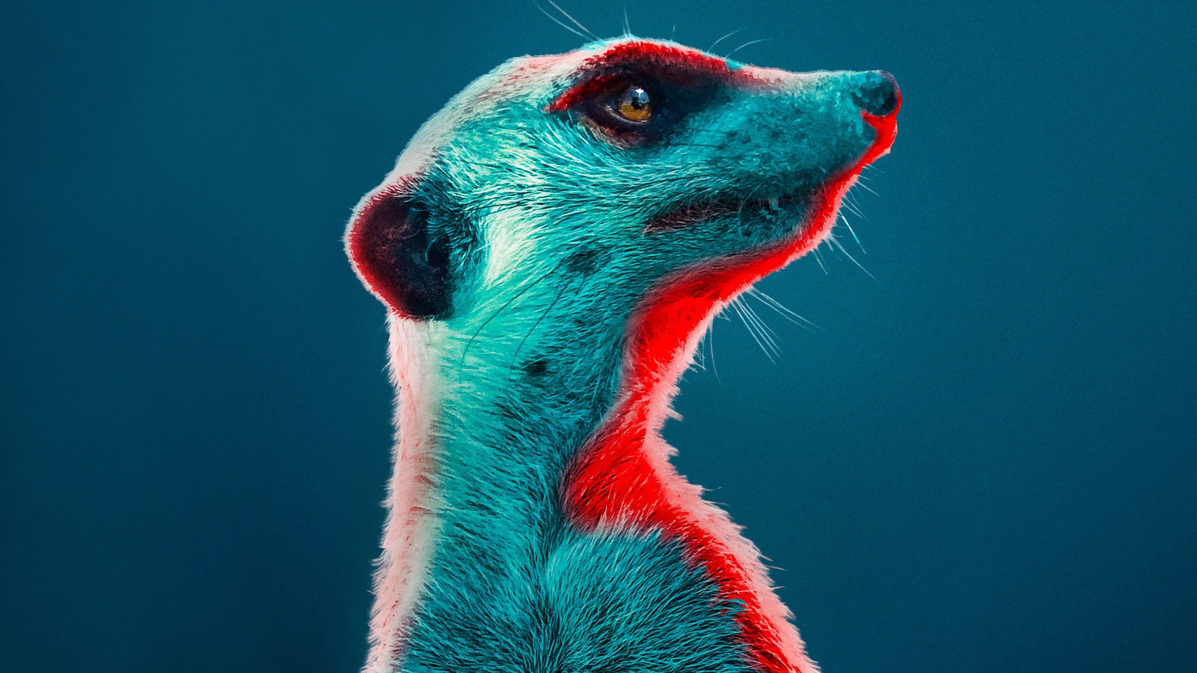 Meerkat Manor: Rise of the Dynasty backdrop