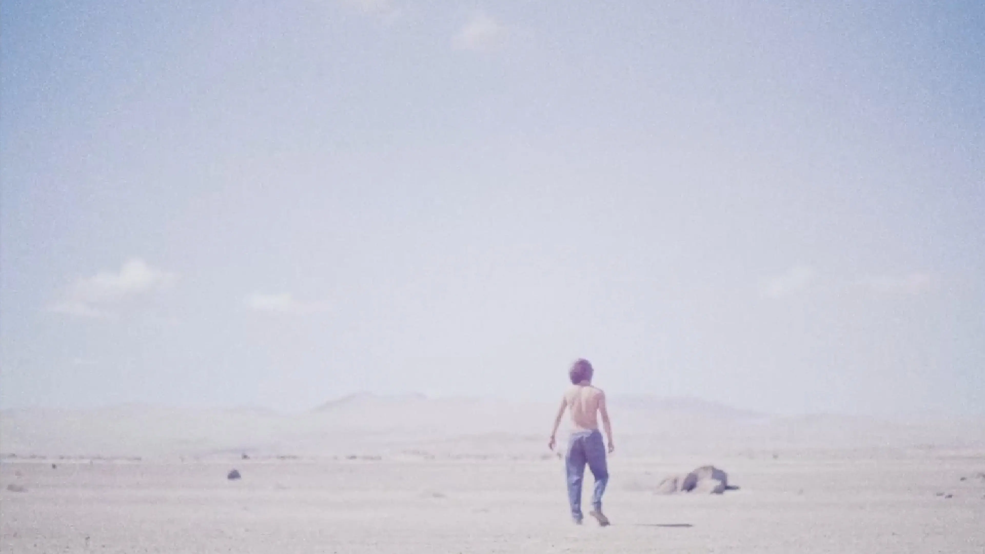 Desierto backdrop