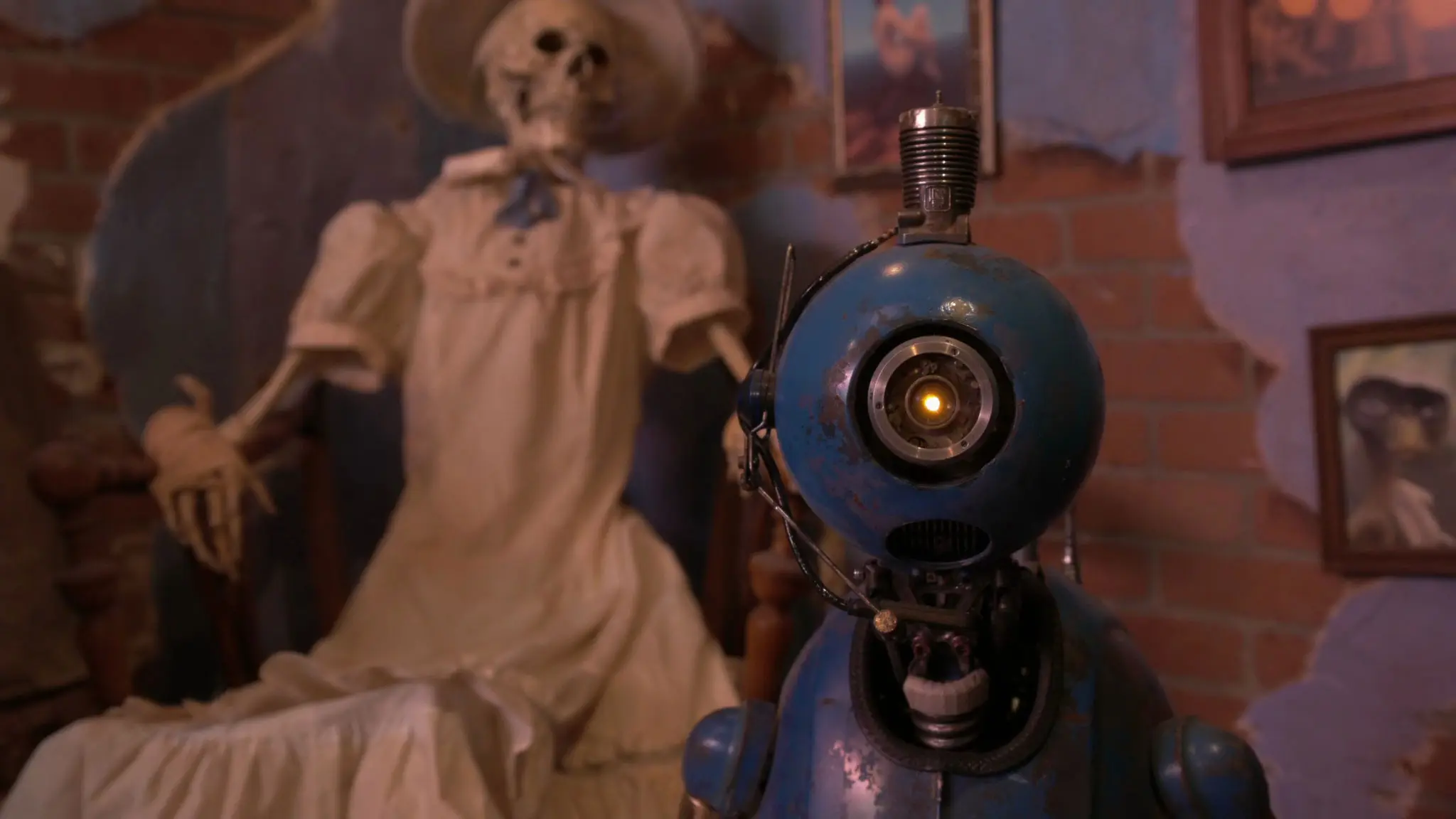 Daisy Belle backdrop