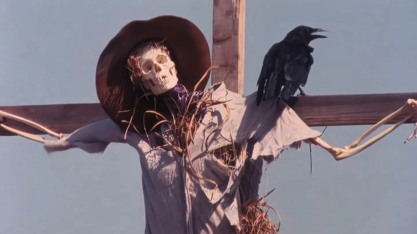 Disciples of the Crow backdrop