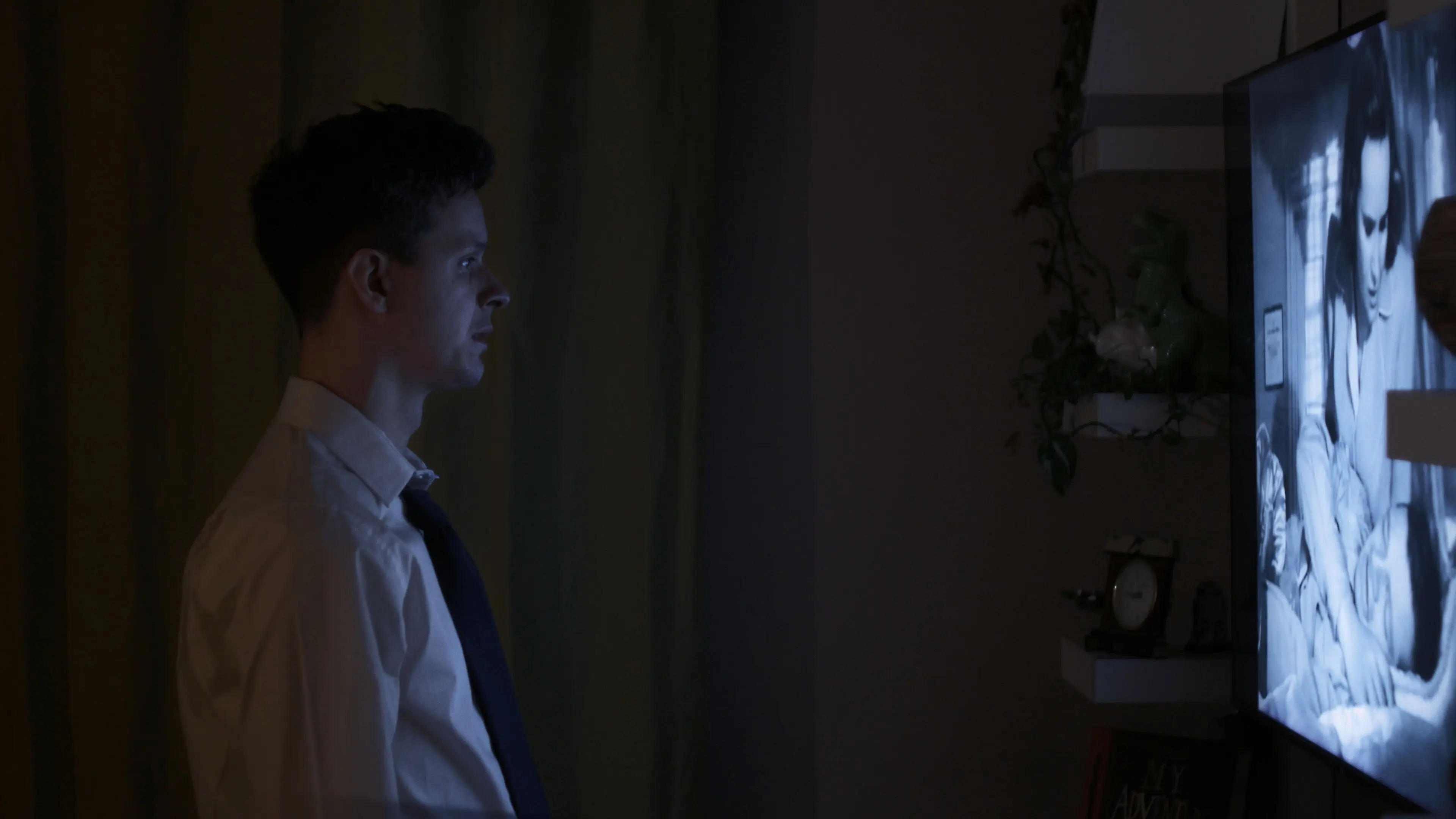 Shadows on the Glass backdrop