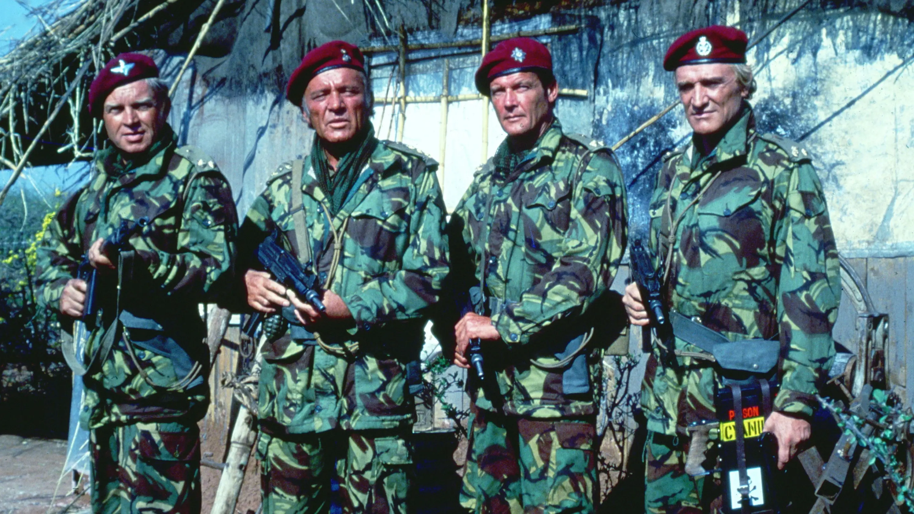 The Wild Geese backdrop