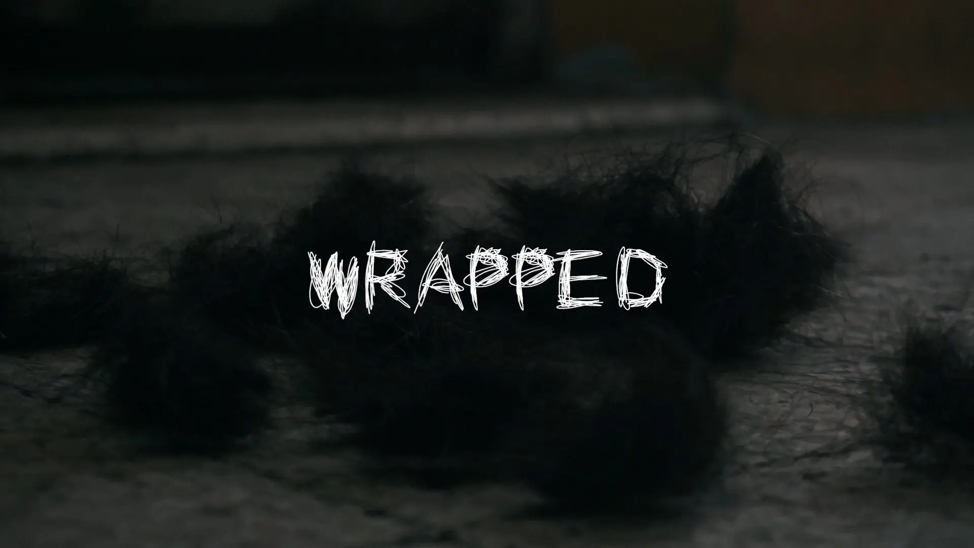 WRAPPED backdrop