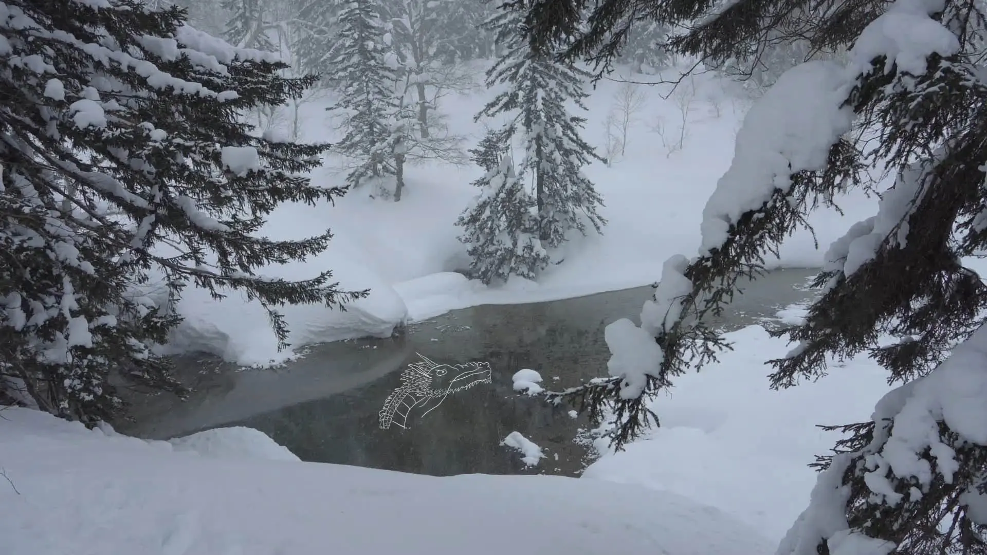 Do you hear the wind in the pine trees? backdrop