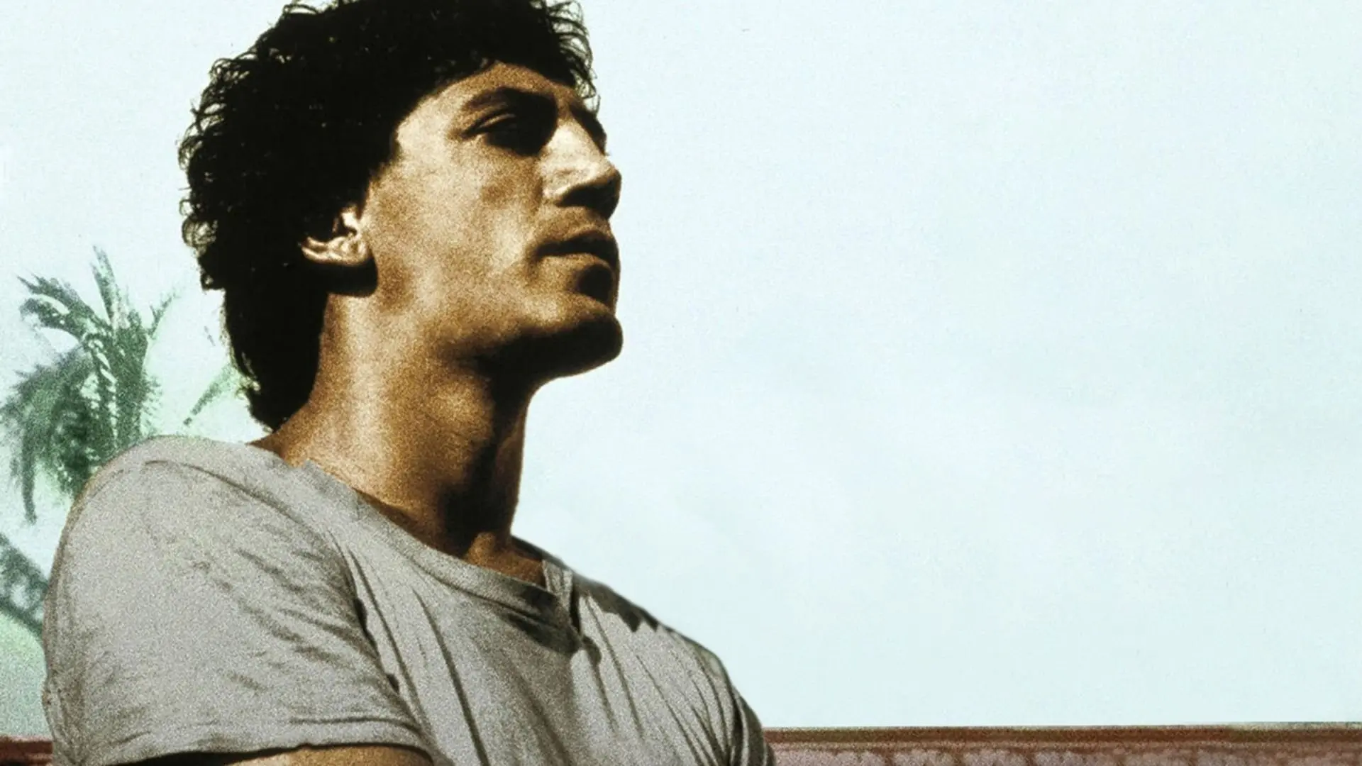 Before Night Falls backdrop