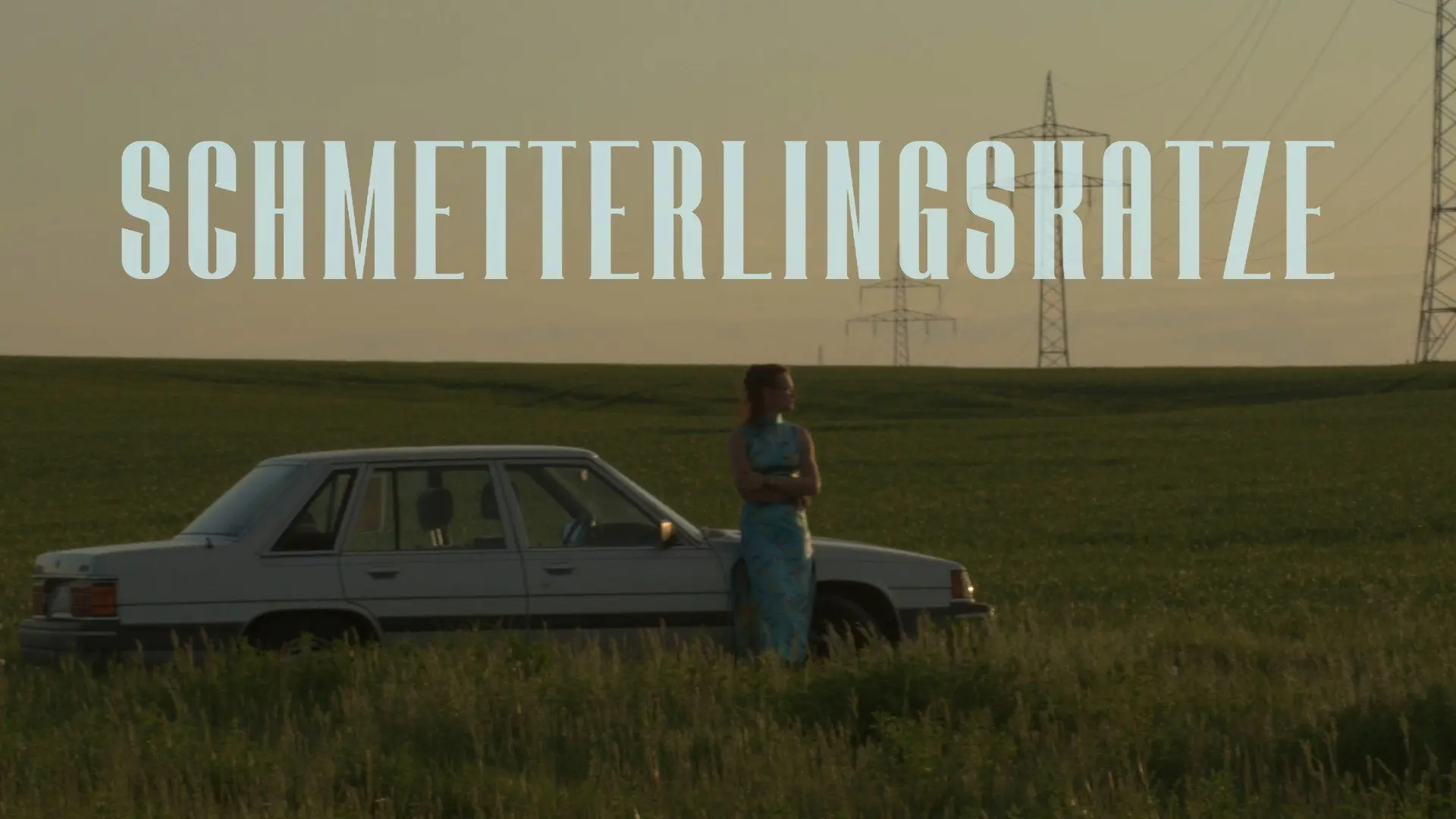 Schmetterlingskatze backdrop