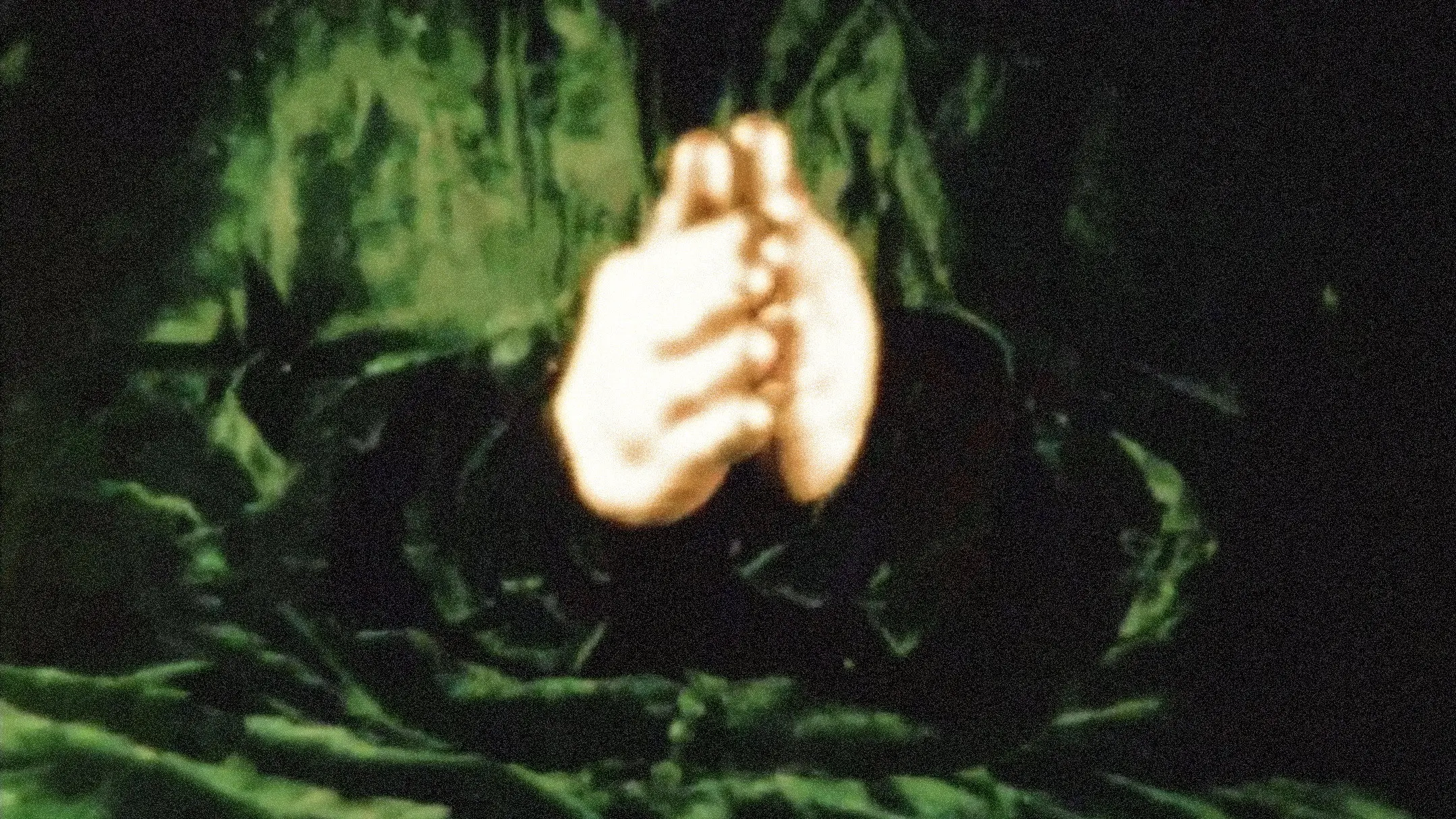 The Story of the Little Green Man backdrop