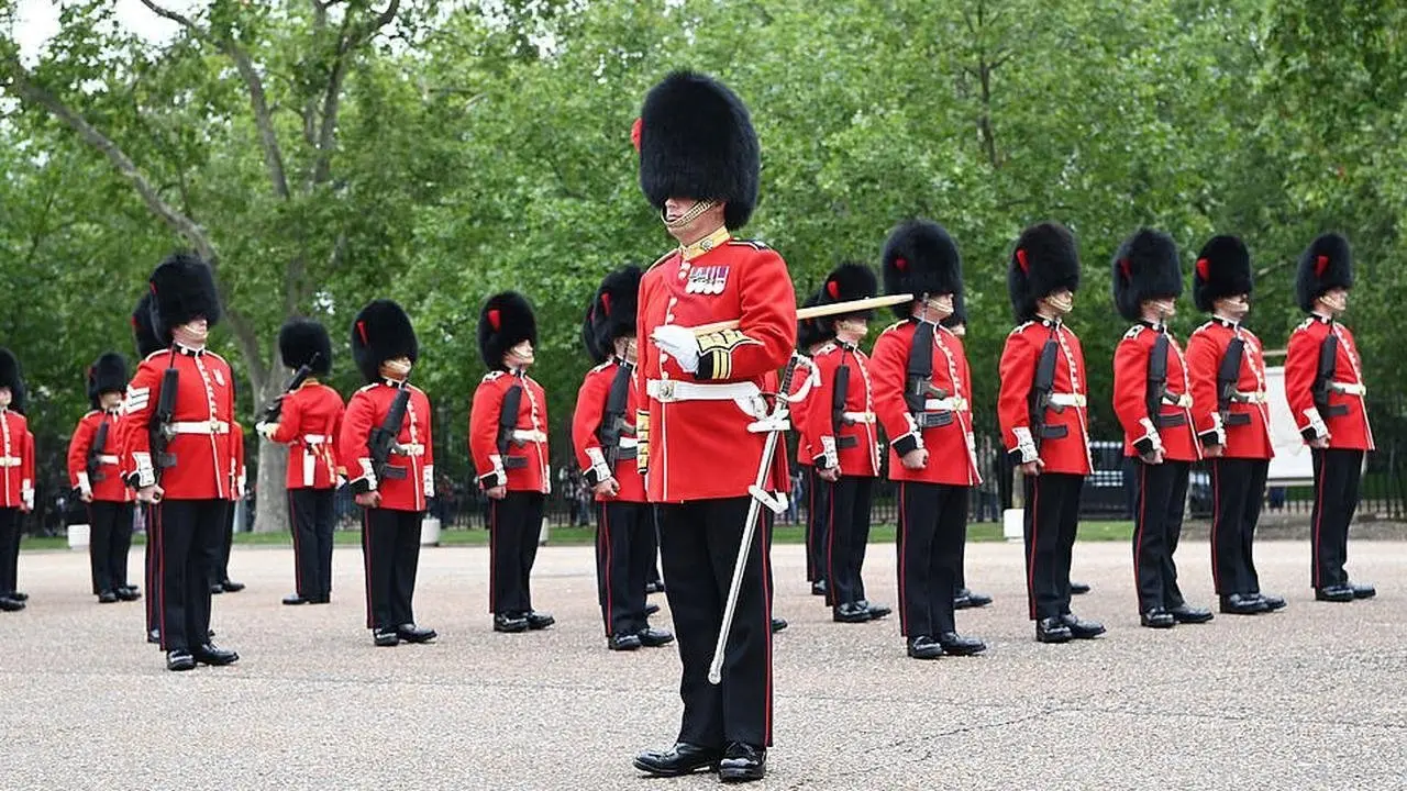 The Queen's Guards: A Year In Service backdrop