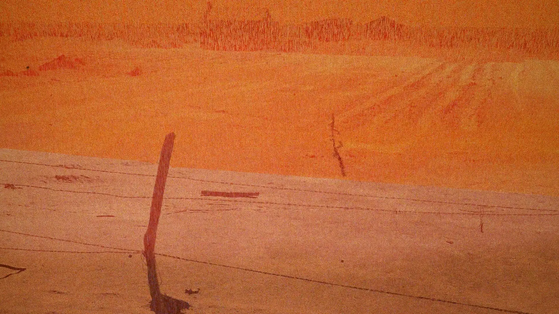 A Robot's Guide to 31st Century Earth backdrop
