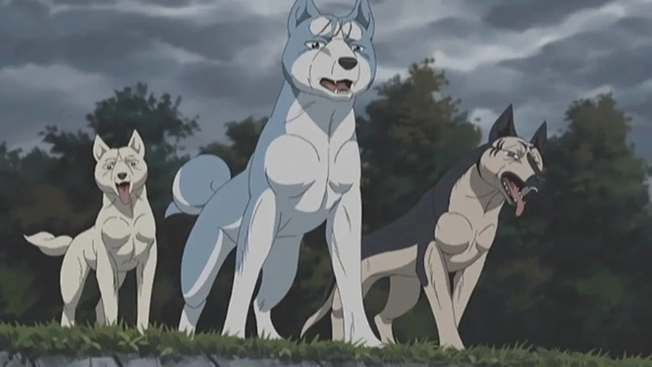 Silver Fang Legend Weed backdrop