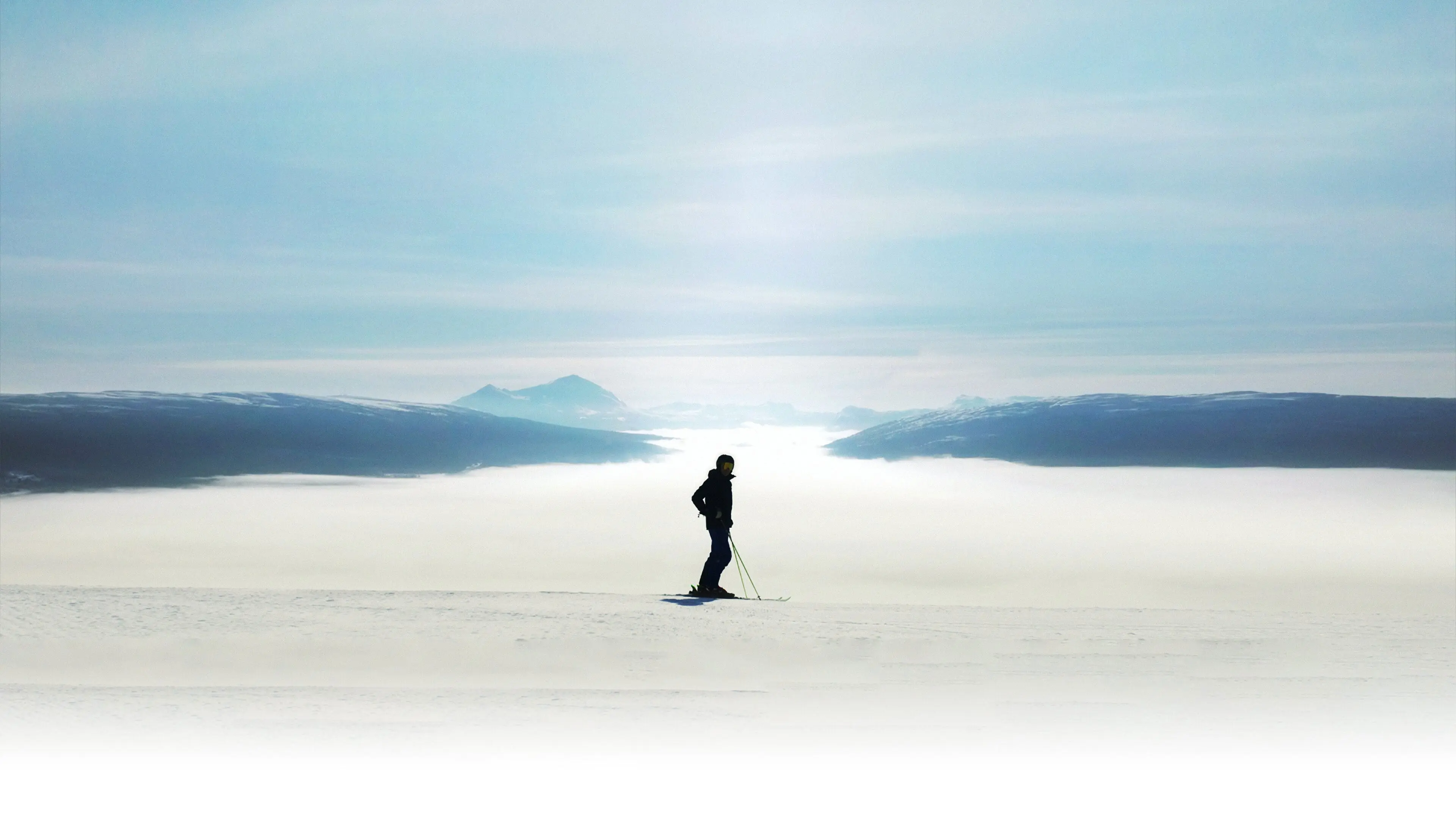 Sagan Stenmark backdrop